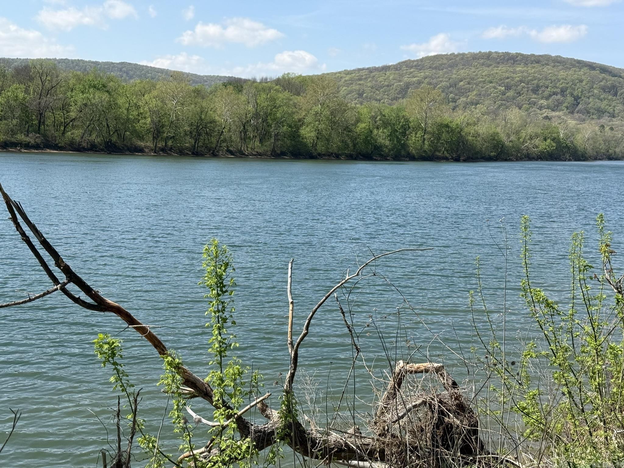 EAGLE BOTTOMS - Land