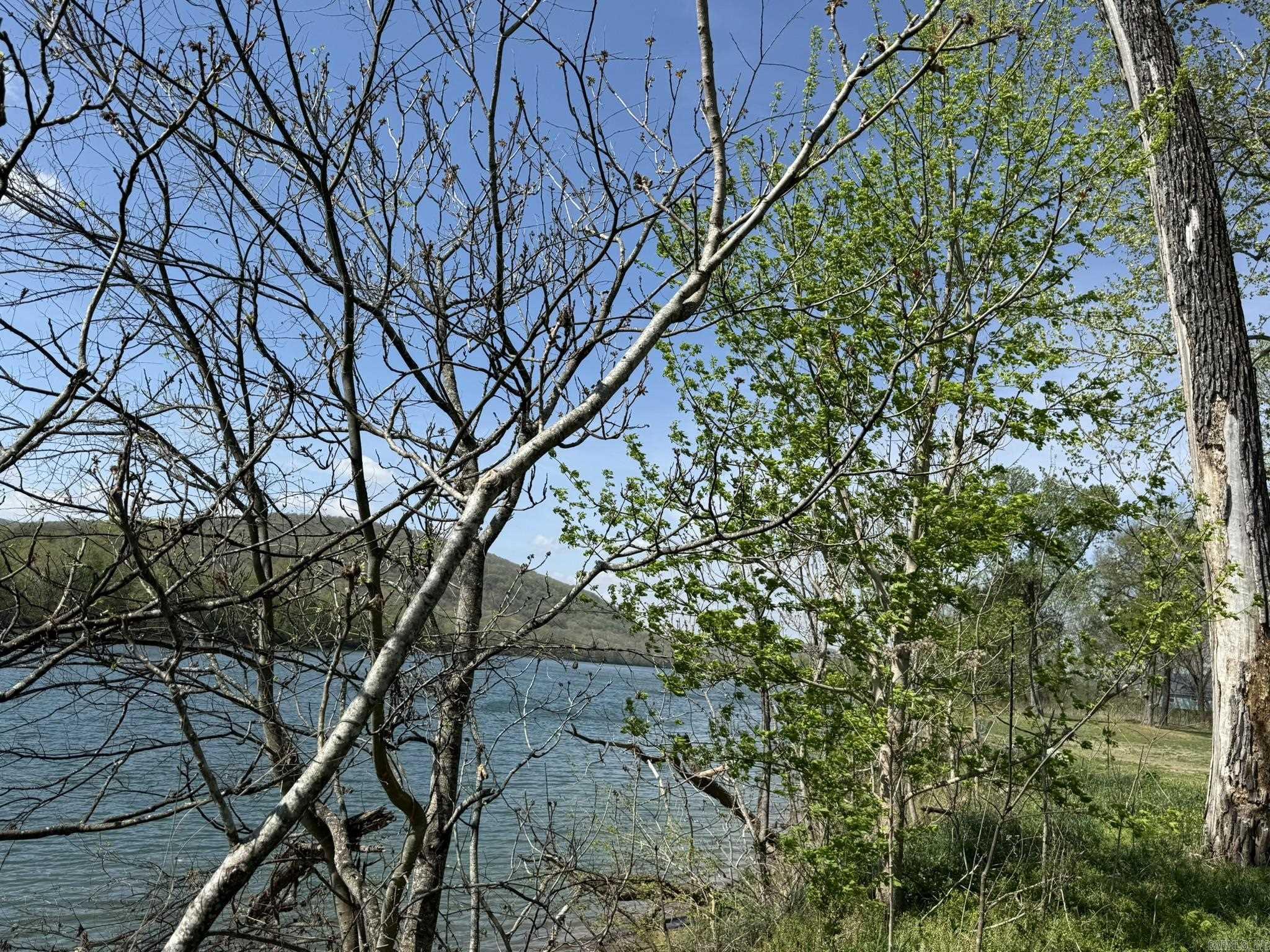 EAGLE BOTTOMS - Land