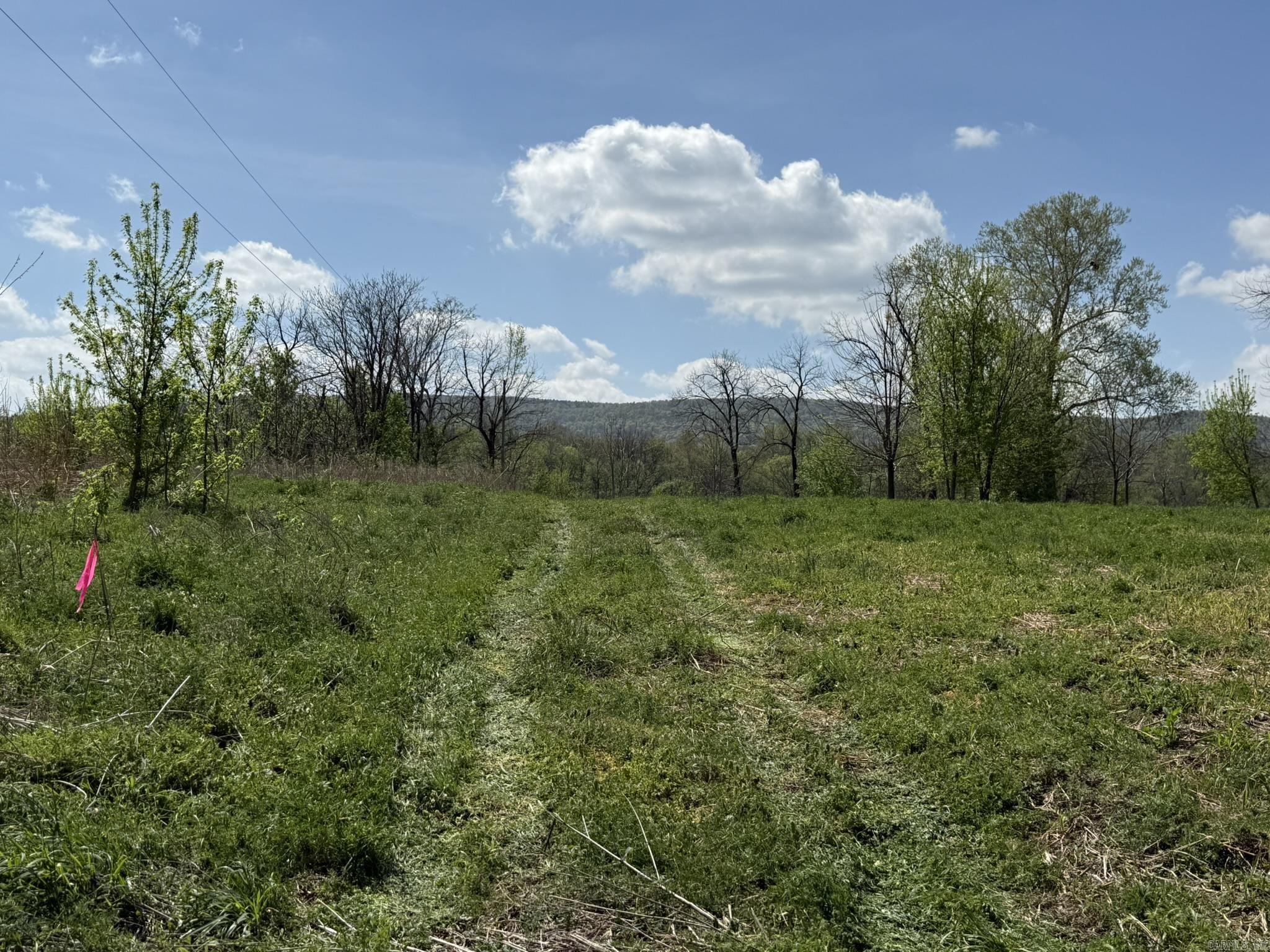 EAGLE BOTTOMS - Land