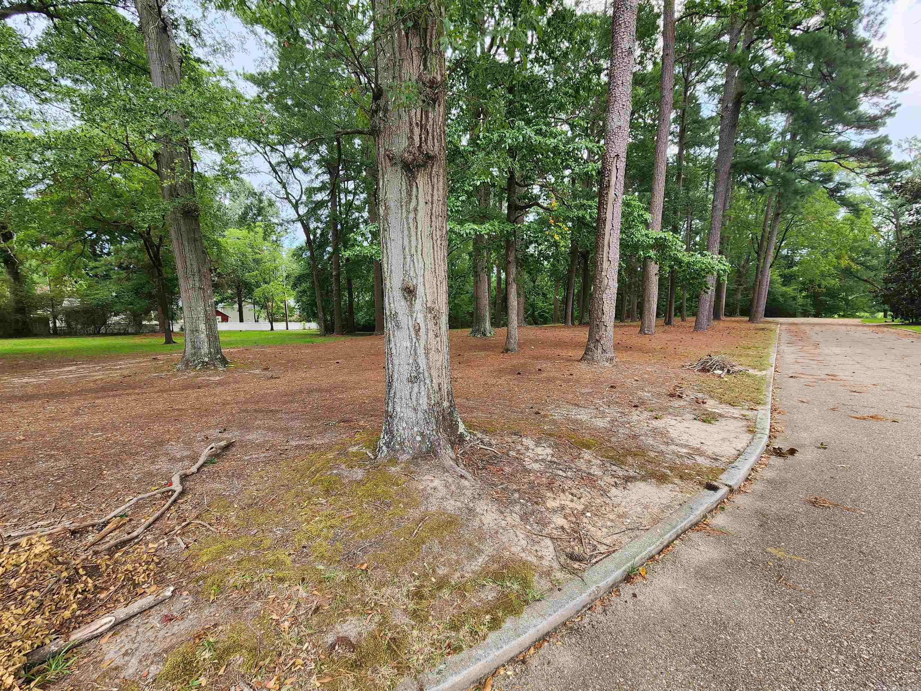 COUNTRY CLUB COLONY - Land