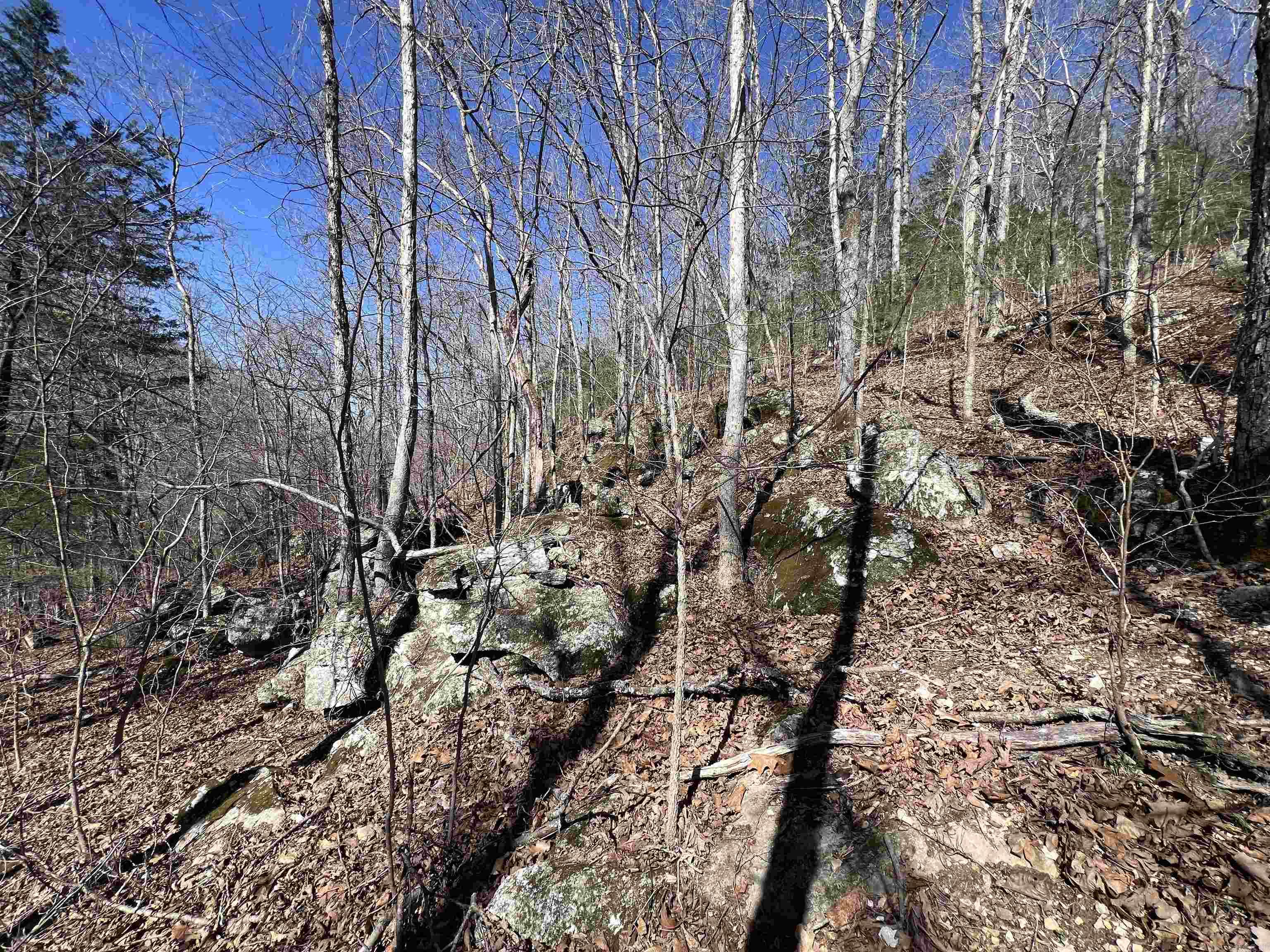 Metes & Bounds - Land