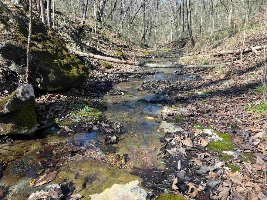 This beautiful 10± acre property sits just a half mile from the Buffalo National Park, offering the perfect blend of privacy and outdoor adventure. A peaceful creek winds through the land, creating a scenic setting ideal for a cabin, weekend retreat, or full-time home. With electric and high-speed fiber internet already available on the property, you can enjoy modern conveniences while surrounded by the natural beauty of the Ozarks. Whether you’re looking for a quiet getaway, a place to build, or a base camp for exploring the Buffalo River area, this property offers an incredible opportunity in a truly special location.