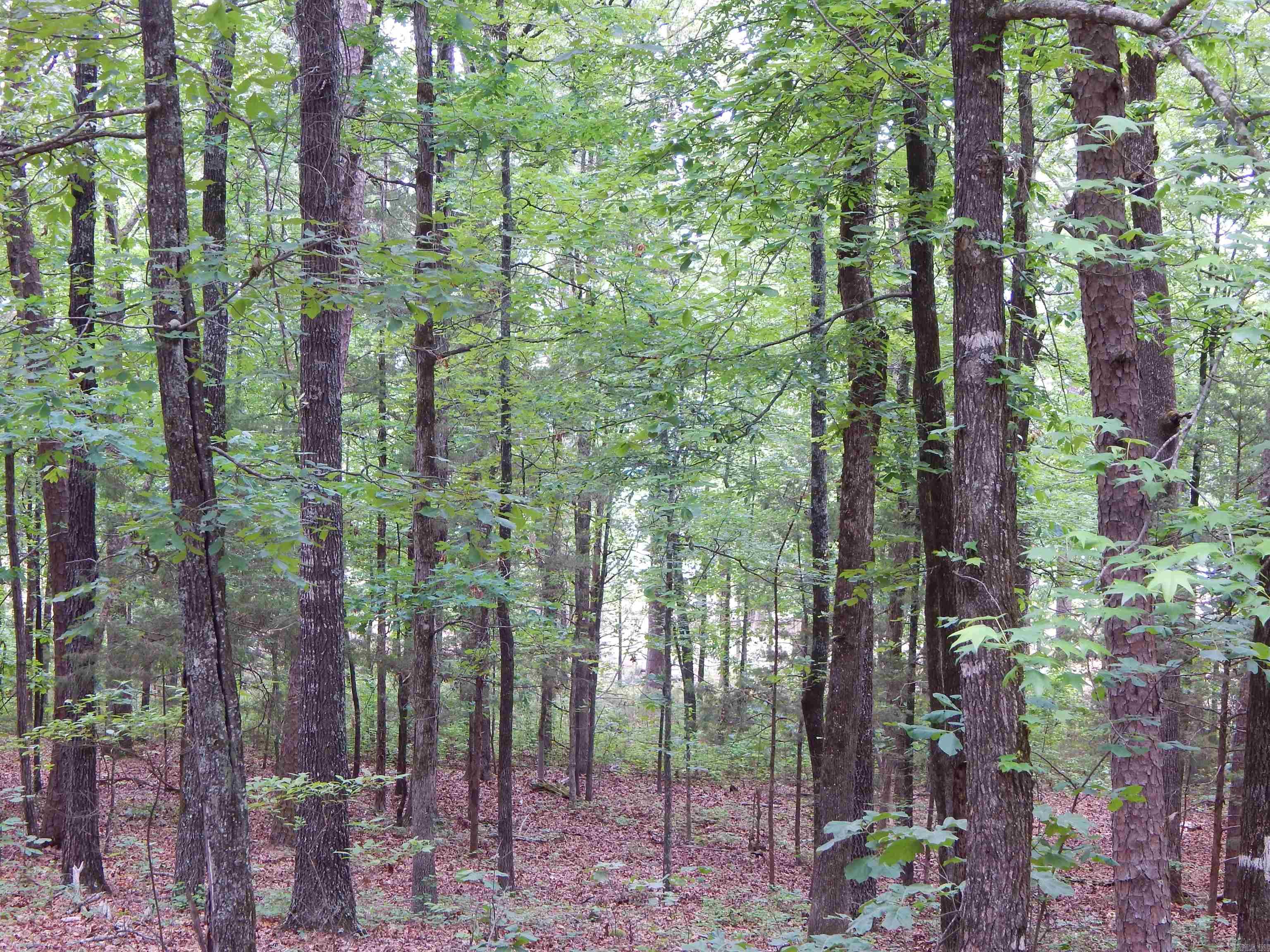 Greers Ferry-Outside - Residential
