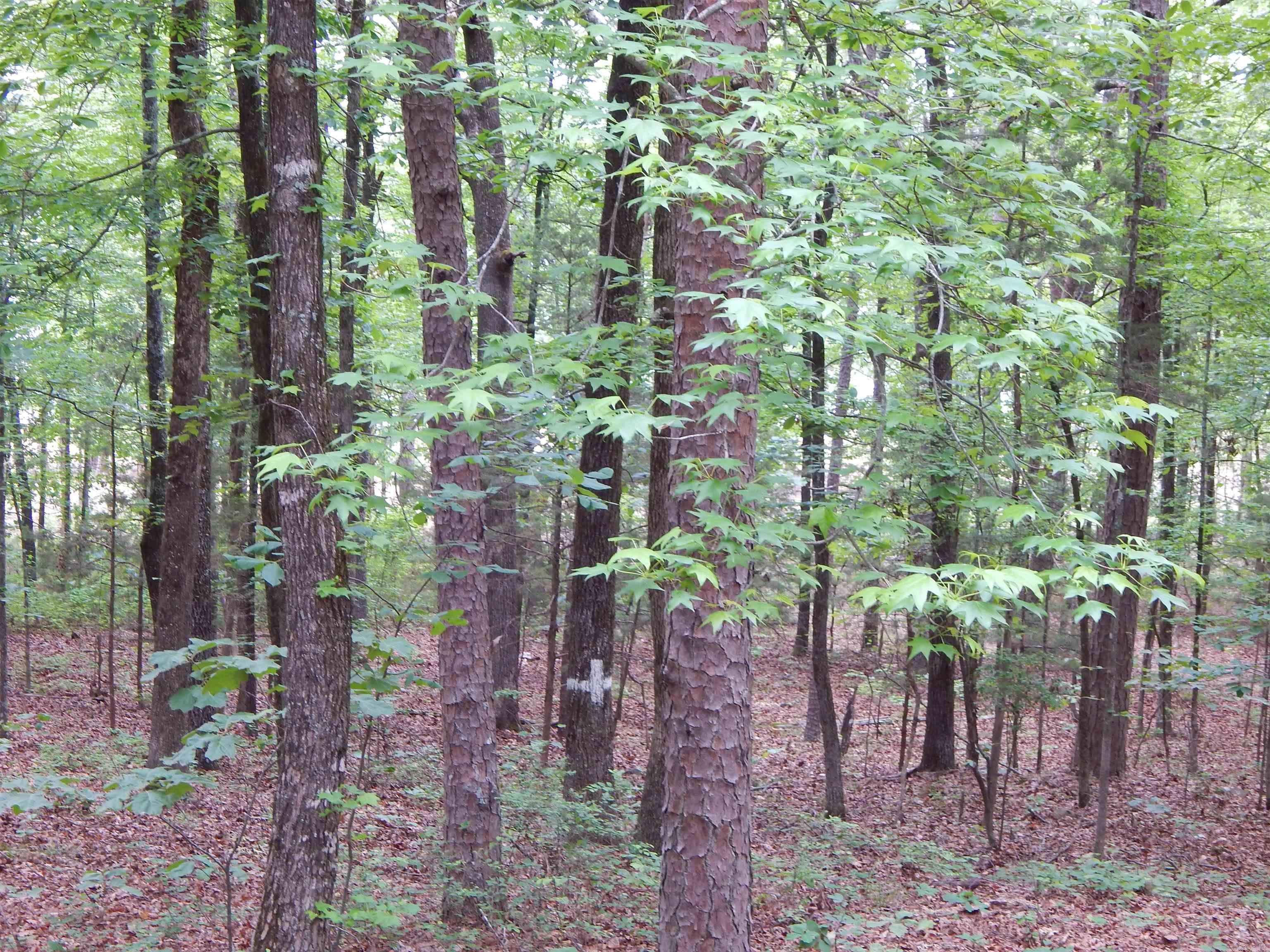 Greers Ferry-Outside - Residential