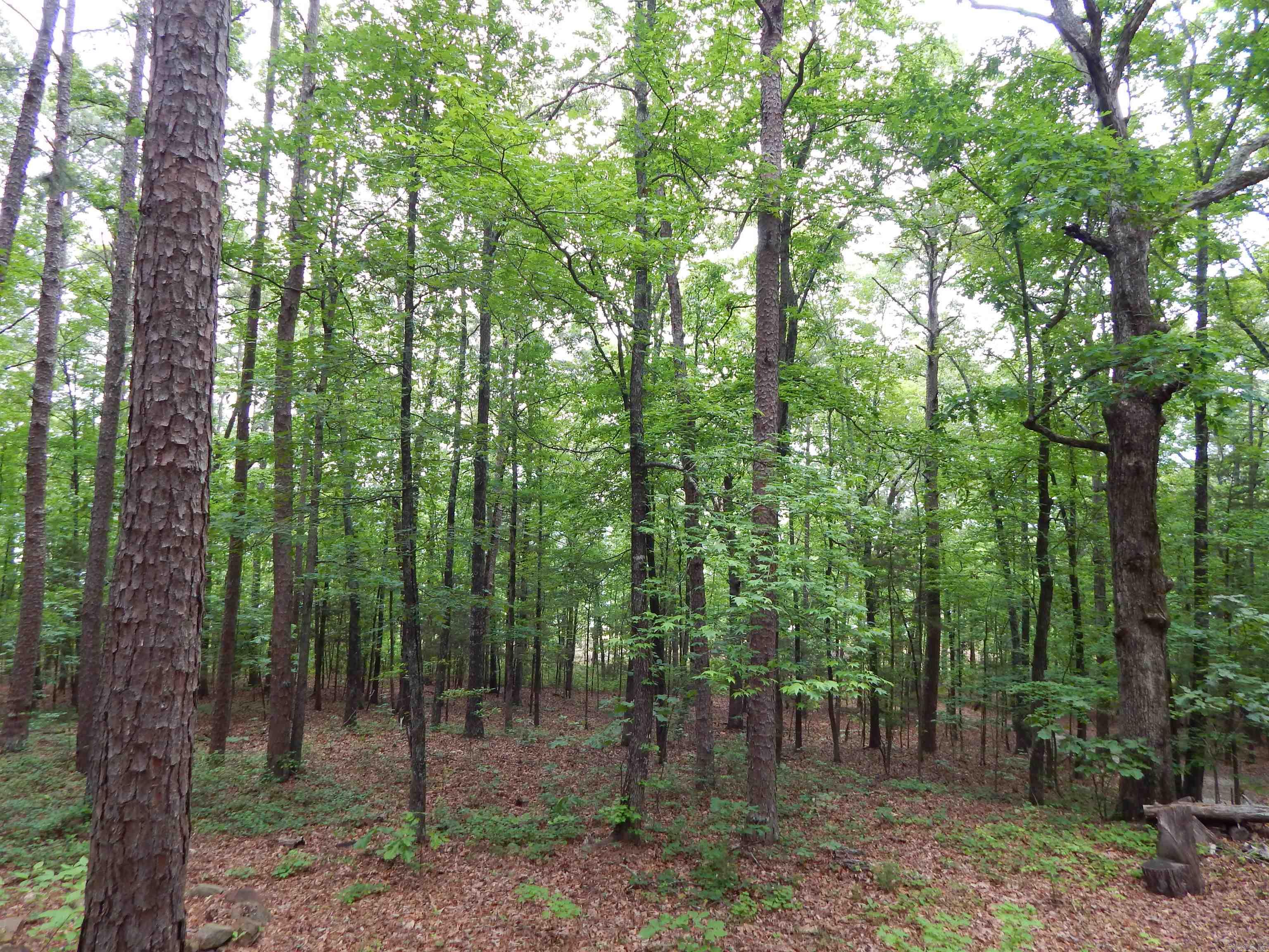 Greers Ferry-Outside - Residential