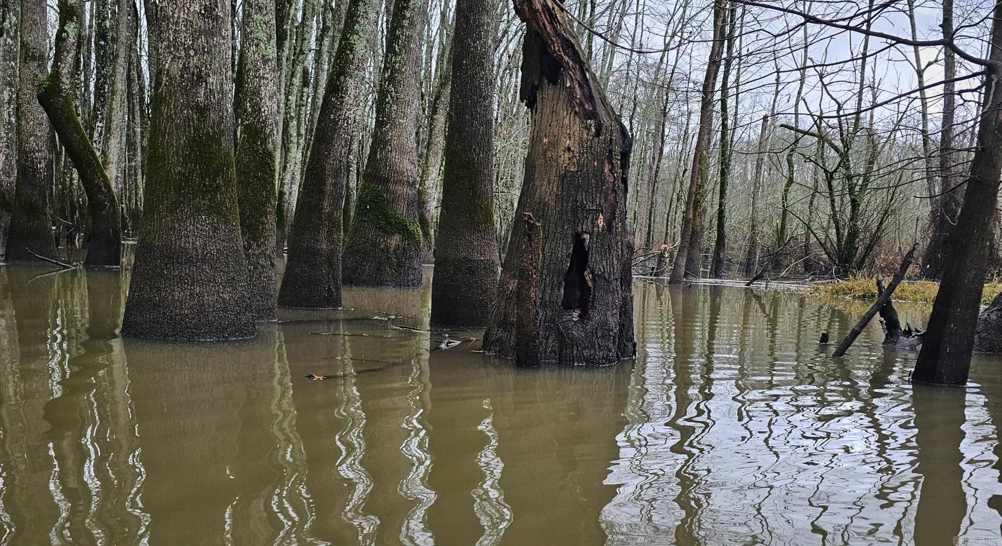 Metes & Bounds - Land