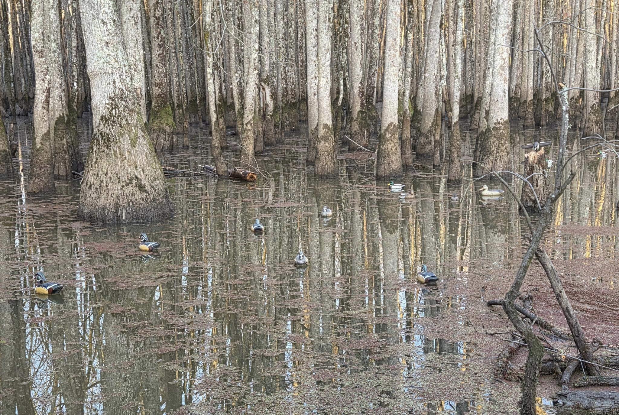 Metes & Bounds - Land