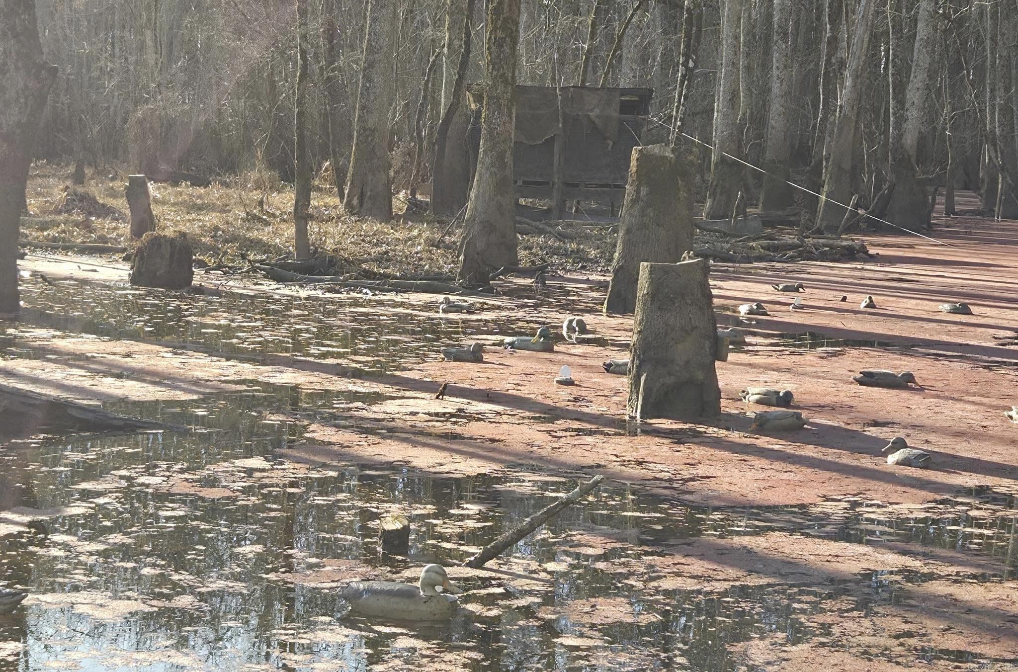 Metes & Bounds - Land