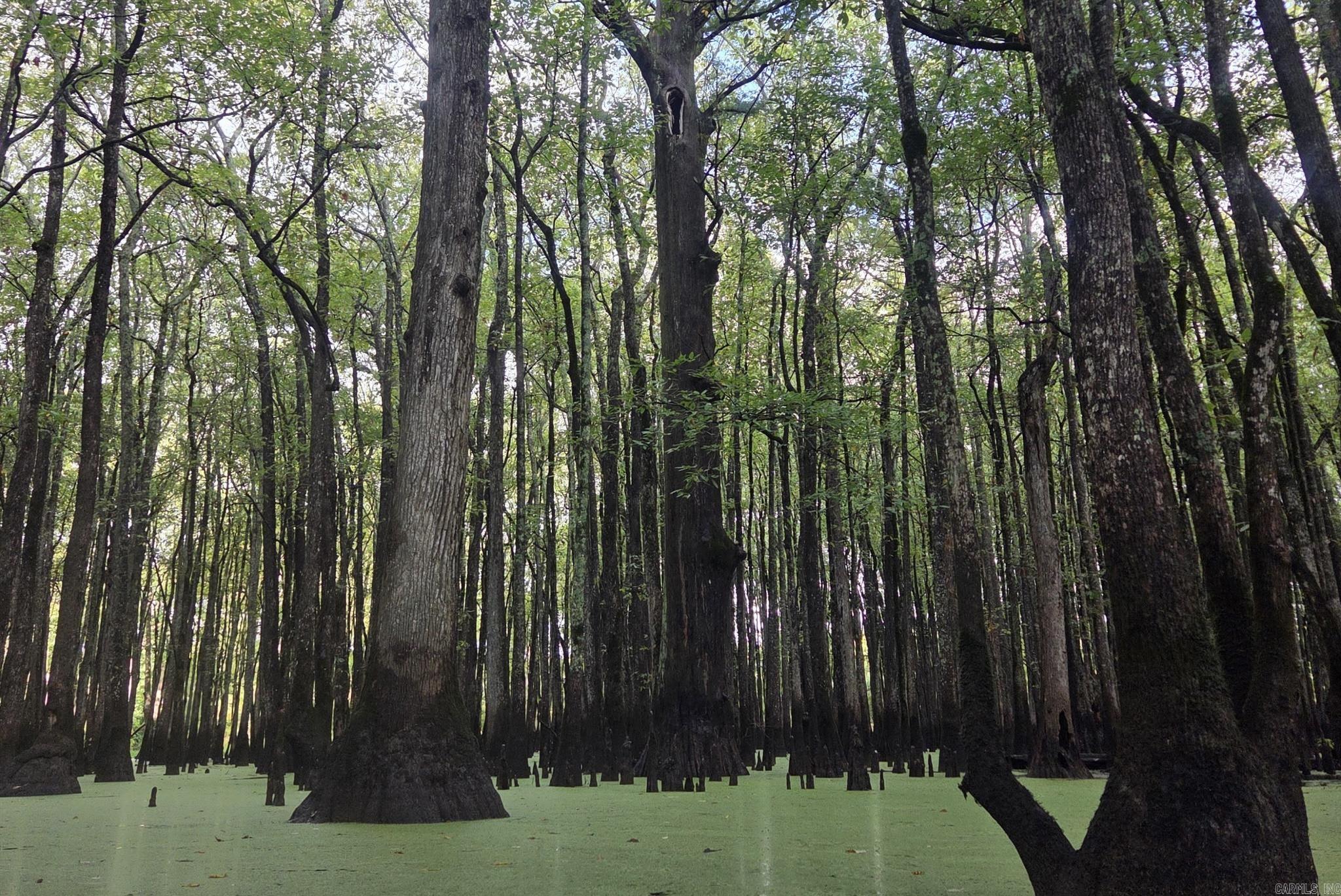 Metes & Bounds - Land