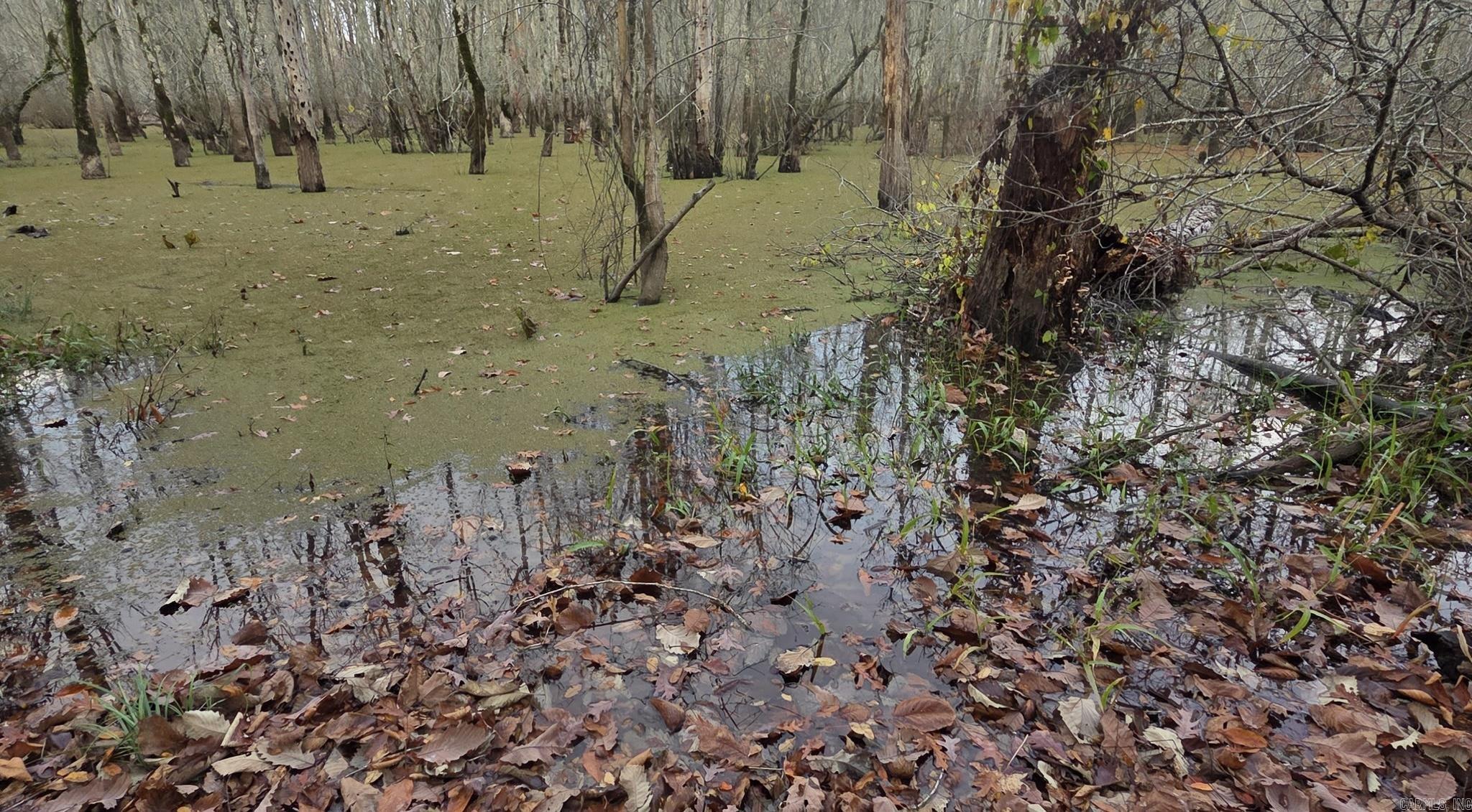 Metes & Bounds - Land