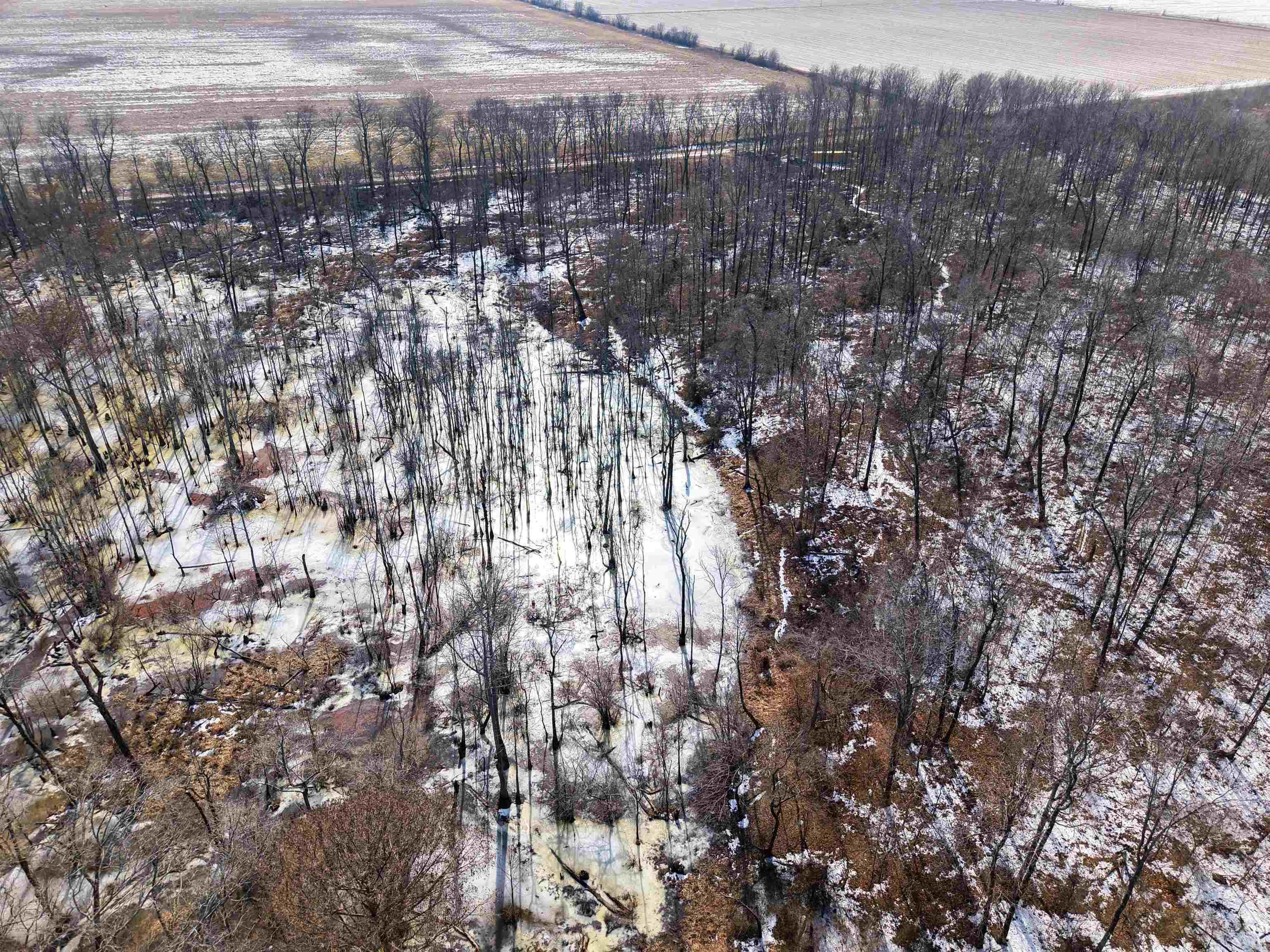 Metes & Bounds - Land