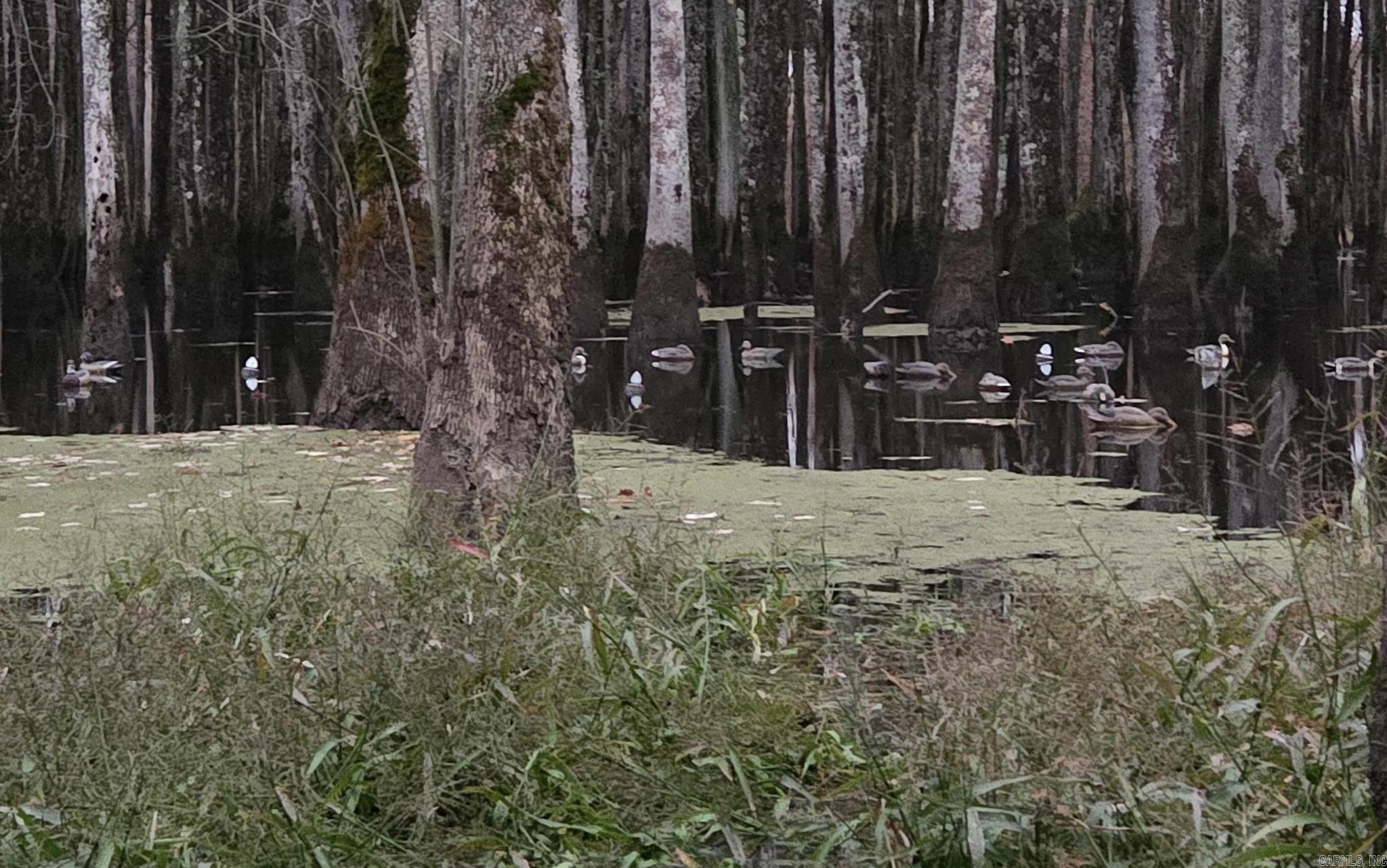 Metes & Bounds - Land