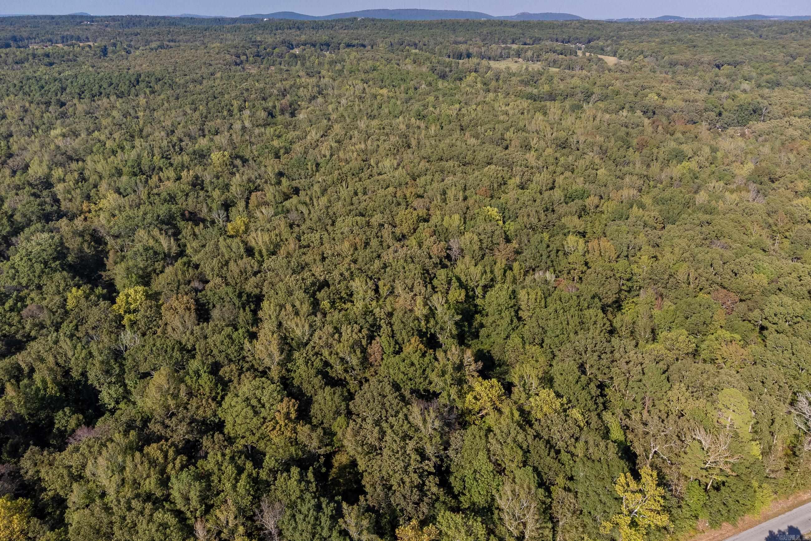 Flat and wooded lot minutes from town with access from both Faulkner Road and Barry Lane. 50 foot building setback from Faulkner Road, 35 foot right-of-way, 10 foot utility easement. Simple Bill of Assurance with the lot which does not allow mobile homes and driveway requirement of 225 from lot 6. City water located on Faulkner Road. Located 12 minutes from Chenal Parkway/Rahling Road & 15 minutes from Interstate 430. See associated documents for survey, bill of assurance and final plat.
