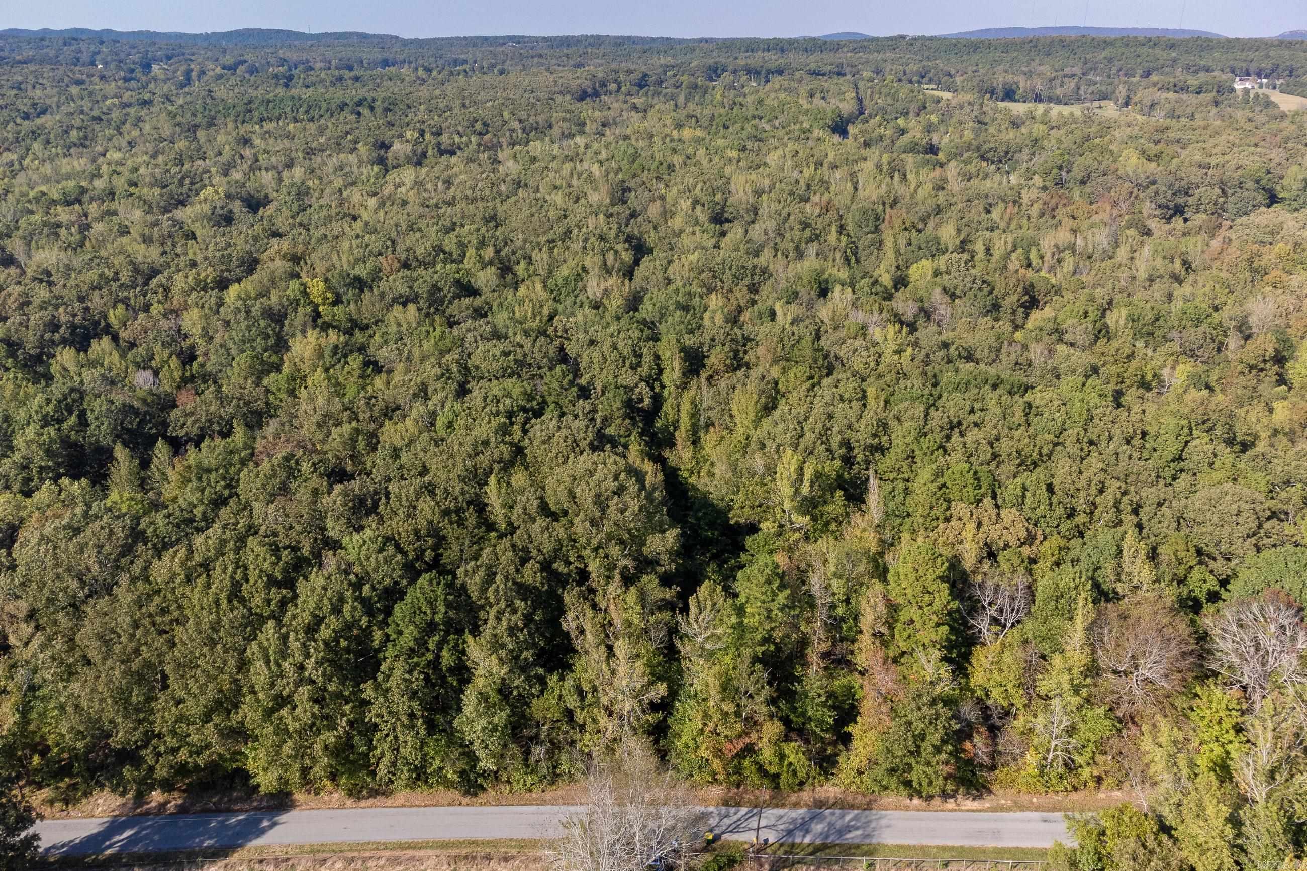 Flat and wooded 56 +/- acres minutes from town. Access is from Faulkner Road and Barry Lane w/ approximately 1,300 frontage on Faulkner Road and approximately 1,900 feet of road frontage on Barry Lane. Would be excellent for a large estate or to subdivide into smaller parcels. City water is on both Faulkner Road and Barry Lane. Located 12 minutes from Chenal Parkway/Rahling Road & 15 minutes from I430.