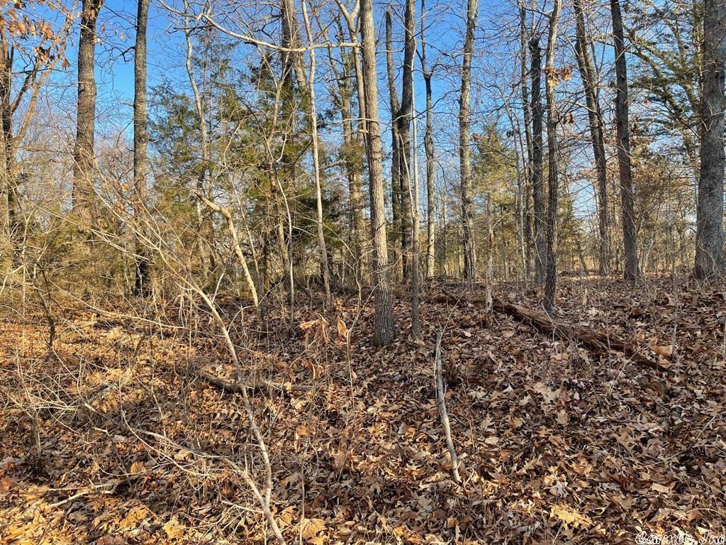 Two beautiful level, wooded lots in Sleepy Hollow Addition, where you can build your dream home. Area amenities include: tennis courts, playground, picnic area, party room, golf course, fitness/bike trails, and marina and airport nearby.