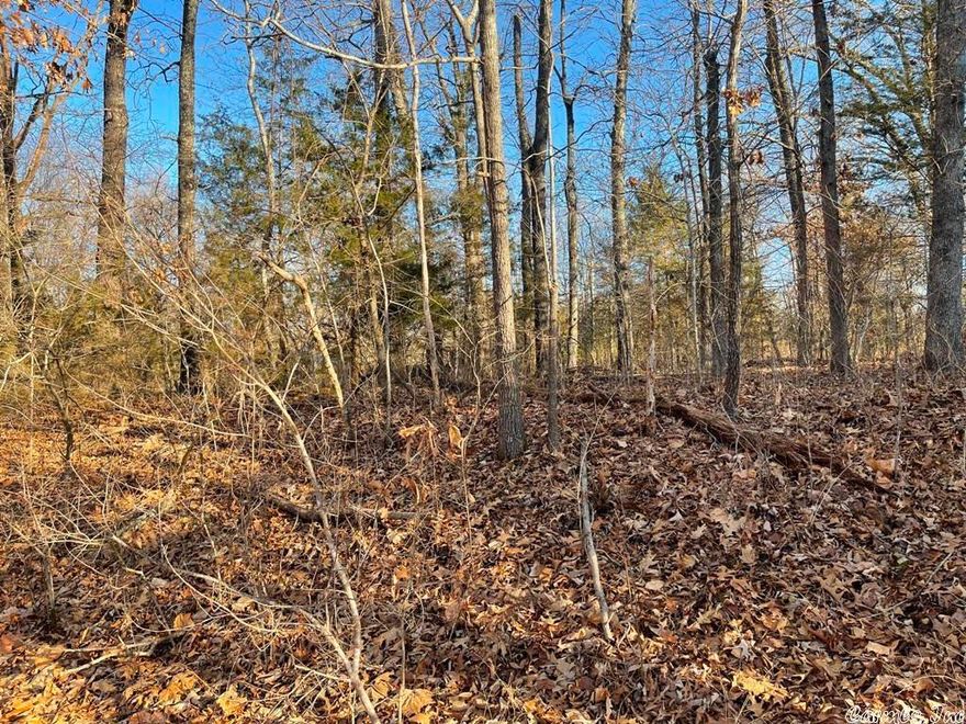 Two beautiful level, wooded lots in Sleepy Hollow Addition, where you can build your dream home.  Area amenities include: tennis courts, playground, picnic area, party room, golf course, fitness/bike trails, and marina and airport nearby.