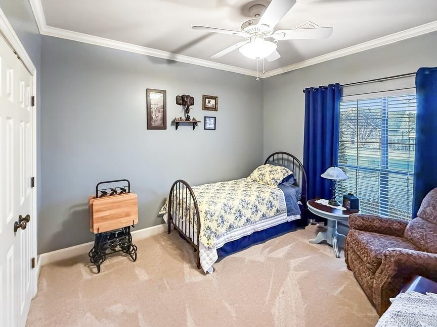 WINDSOR PARK - Residential