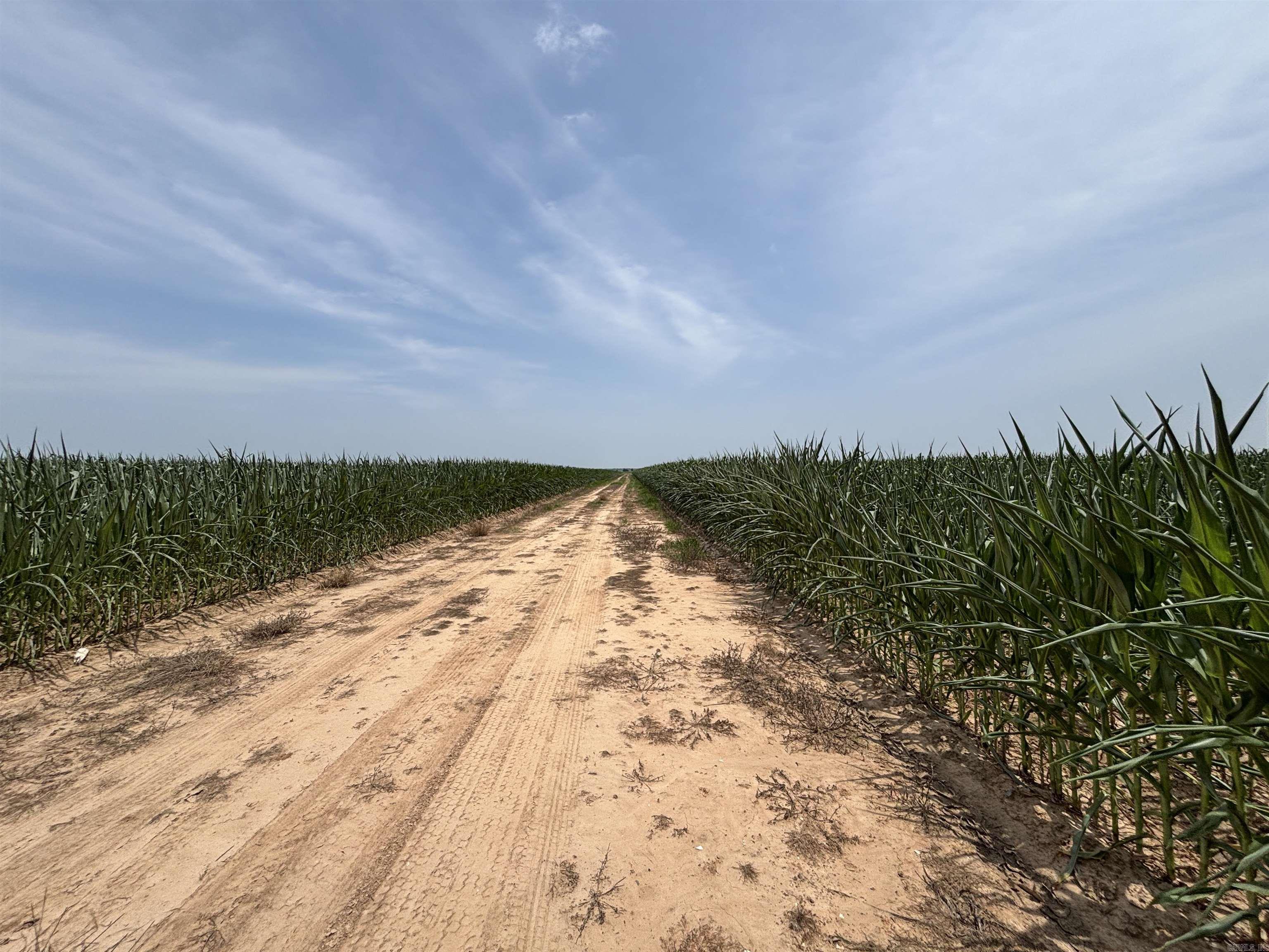 Metes & Bounds - Farm