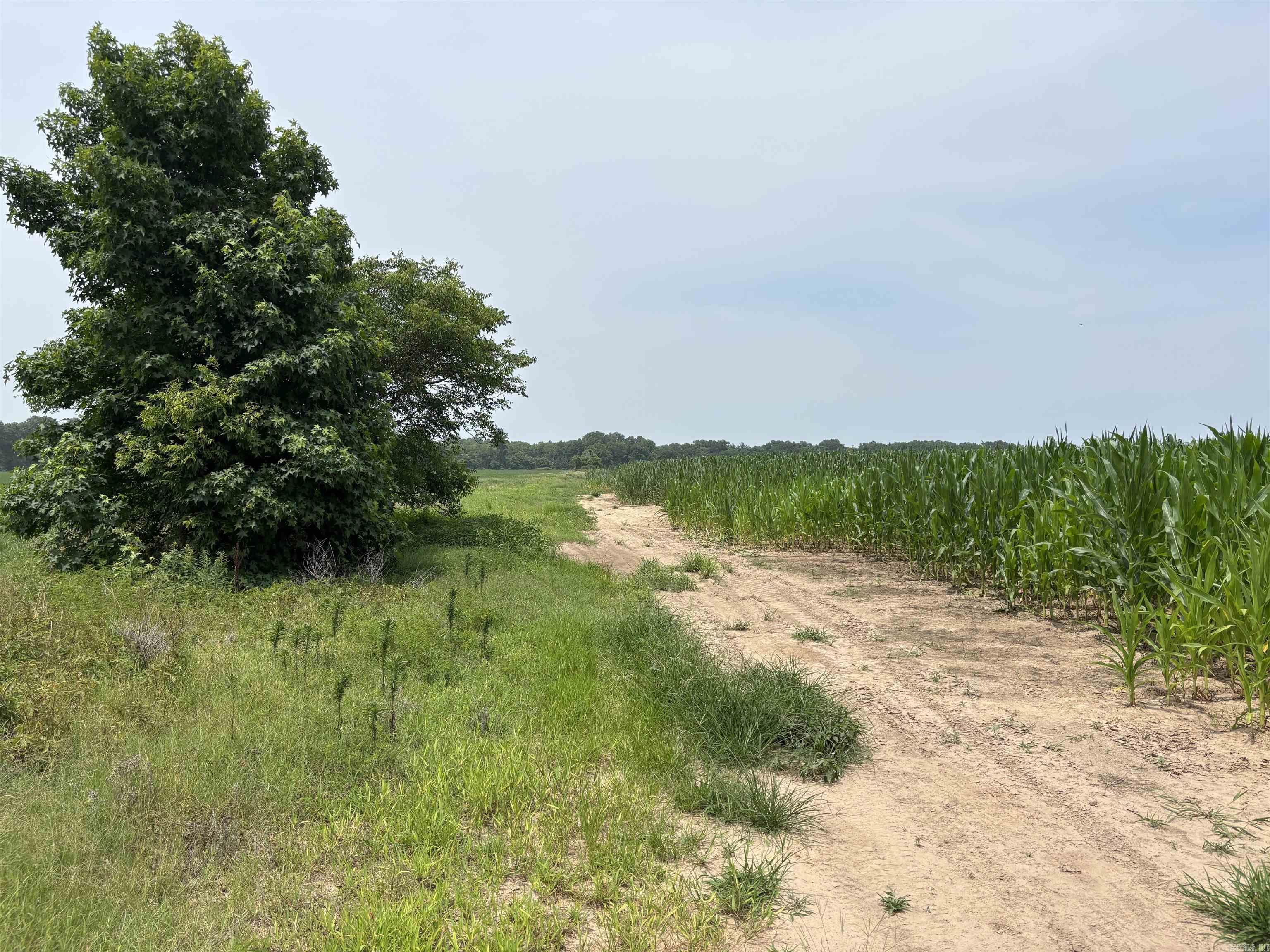 Metes & Bounds - Farm