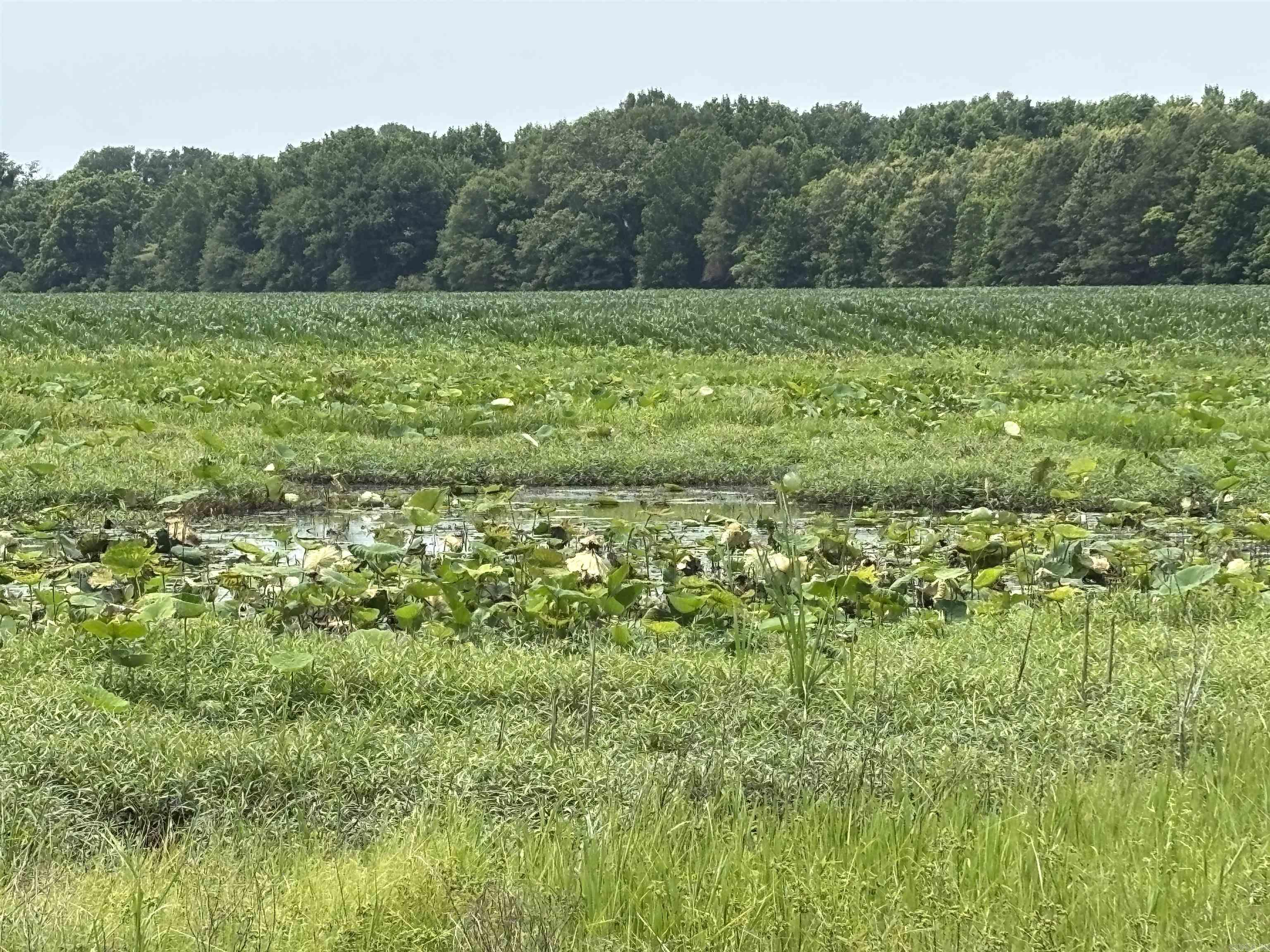 Metes & Bounds - Farm