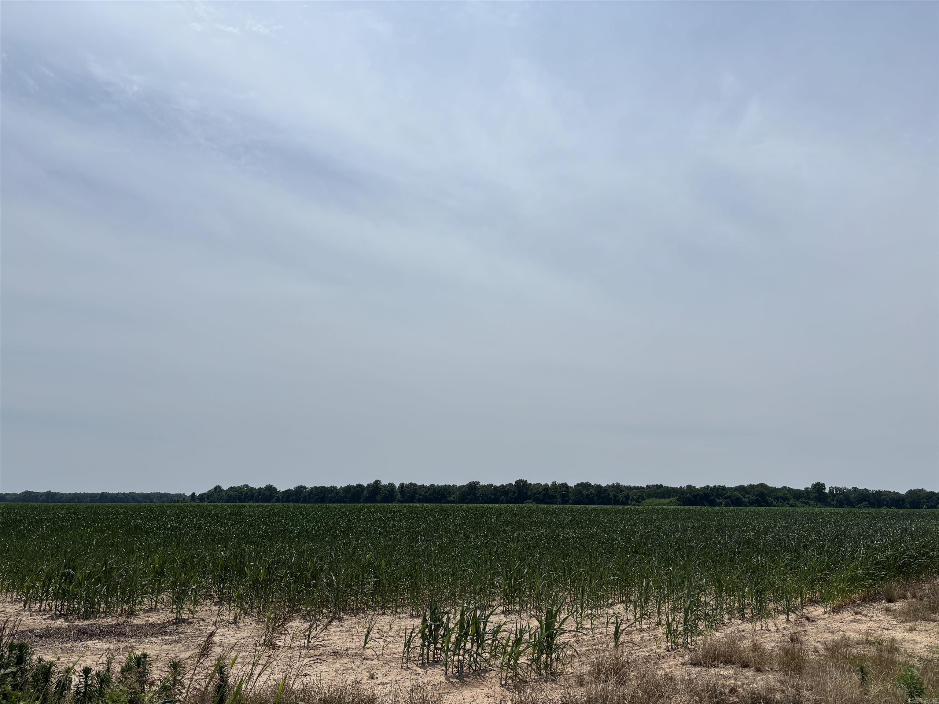 Metes & Bounds - Farm