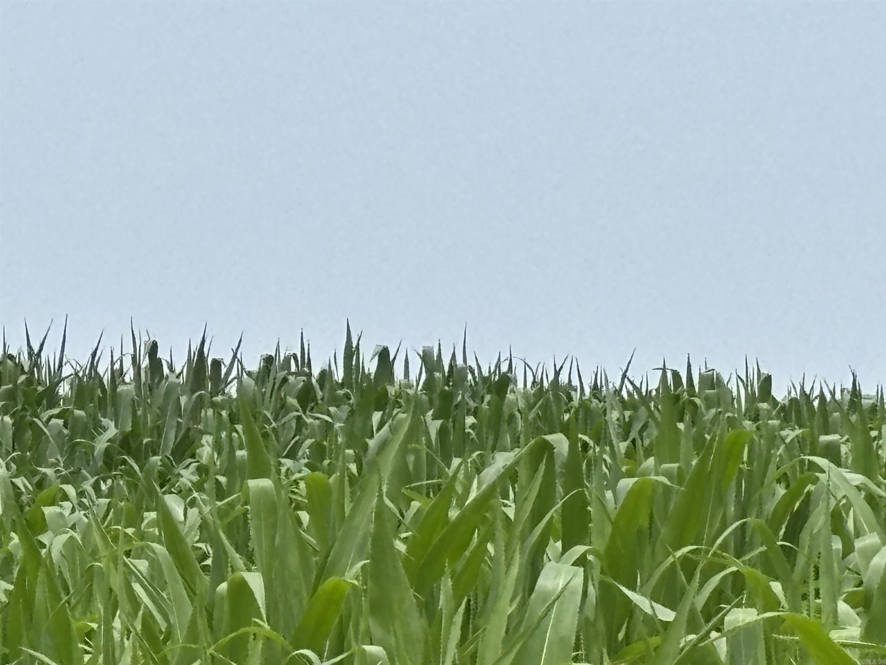 Metes & Bounds - Farm