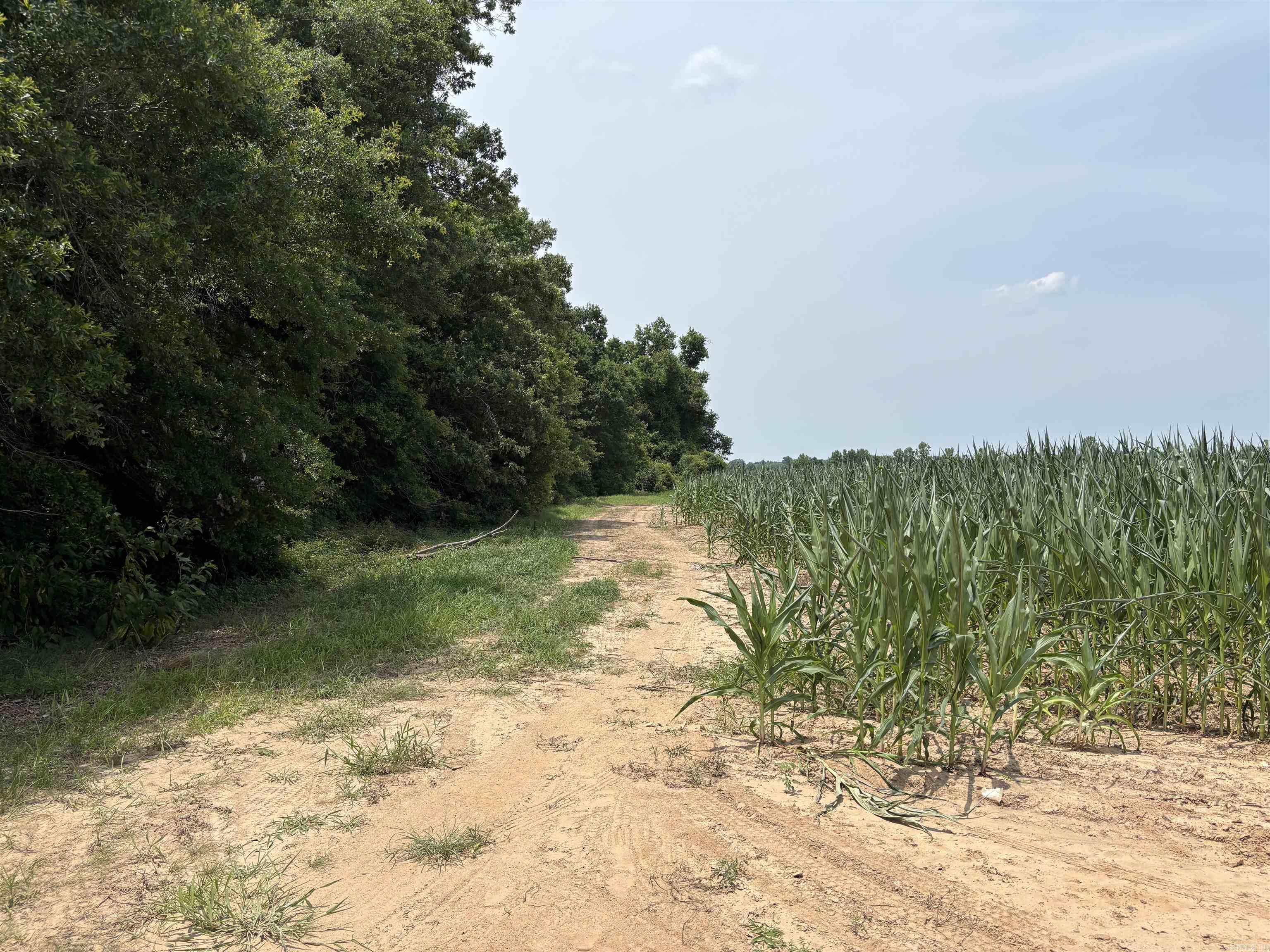 Metes & Bounds - Farm