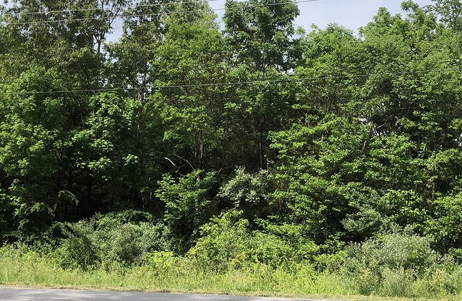 Two undeveloped lots, side by side, in great location. These are good sized lots located close to the South Entrance of Cherokee Village. Have city water, need septic system. With purchase you'll have access to 7 lakes, 2 golf courses, recreation center with swimming pool, numerous parks, walking & bike trails, and lots of nature with peace and quiet.