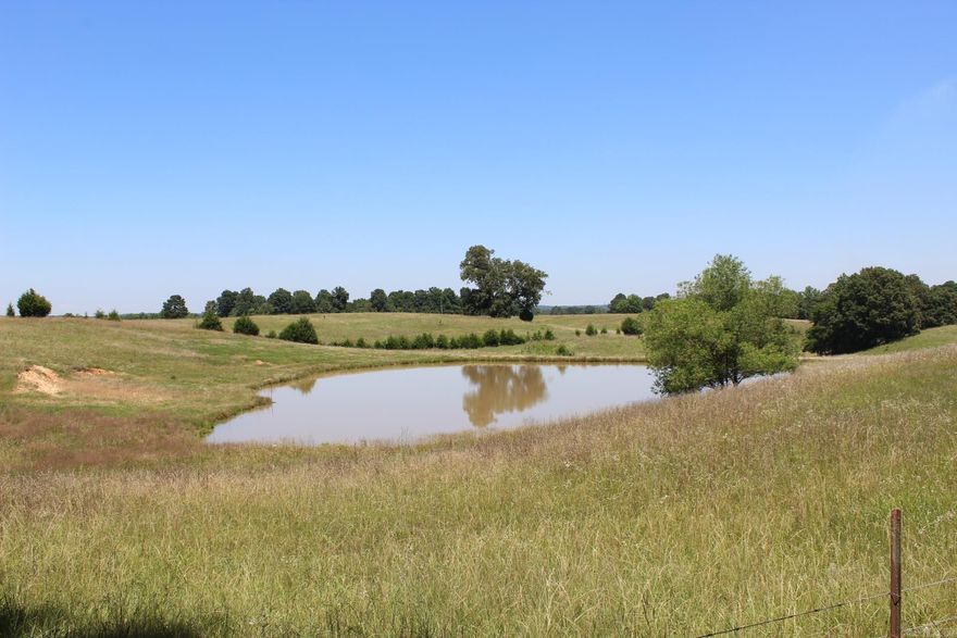 Beautiful piece of land to build your forever home on. Located in the rolling hills outside of Piggott, AR, this property has everything you could want! It is surrounded by pasture, timber, and breathtaking landscape. Even better, it also includes a large pond! Utilities are available, but not yet ran to the property.