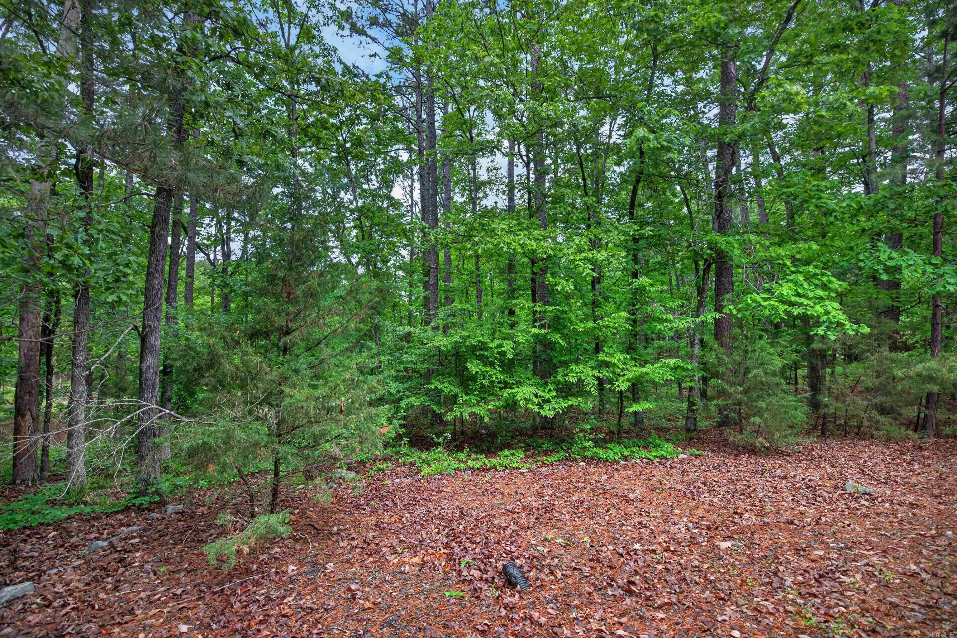 BELLEZA - Residential