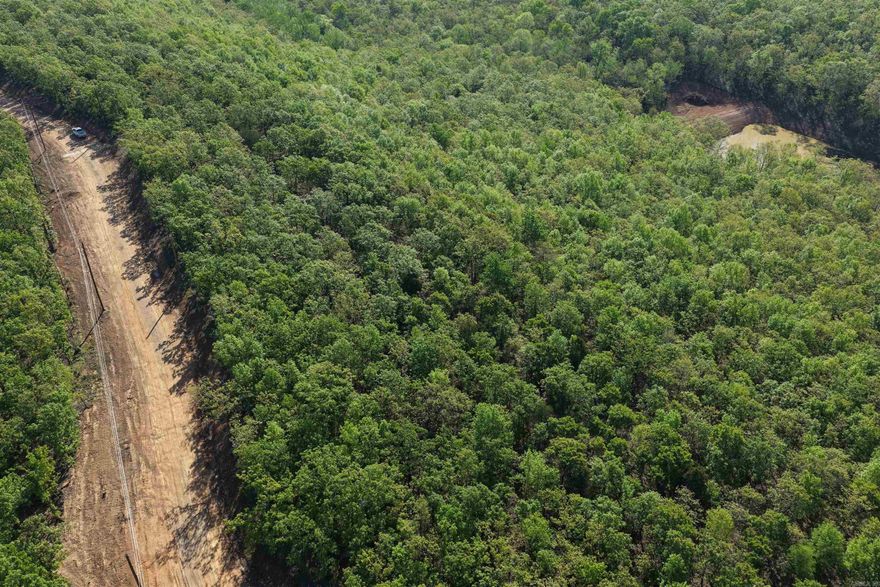 Introducing Seven Lakes Ranch Estates ~ a premier gated acreage community redefining luxury country living in the Conway area. Set against breathtaking views of Lake Conway and Pinnacle Mountain, this exclusive development features seven stocked lakes, scenic nature trails, rolling topography, and abundant wildlife. Each 3–5 acre homesite offers the privacy and space you’ve been searching for, complete with paved roads, a gated entrance, and available utilities. Perfectly positioned just 10 minutes from I-40 in Mayflower, 15 minutes from downtown Conway, and approximately 25 minutes from West Little Rock and Cabot, Seven Lakes Ranch Estates delivers both tranquility and convenience. With community-wide road paving planned for summer 2026, and a 2,400 sq. ft. minimum for this lot, you’re invited to bring your builder—or work with one of ours—to craft a custom home that fits your vision.  **Owner financing is available.**