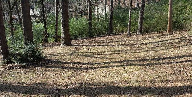 ECHO VALLEY - Residential