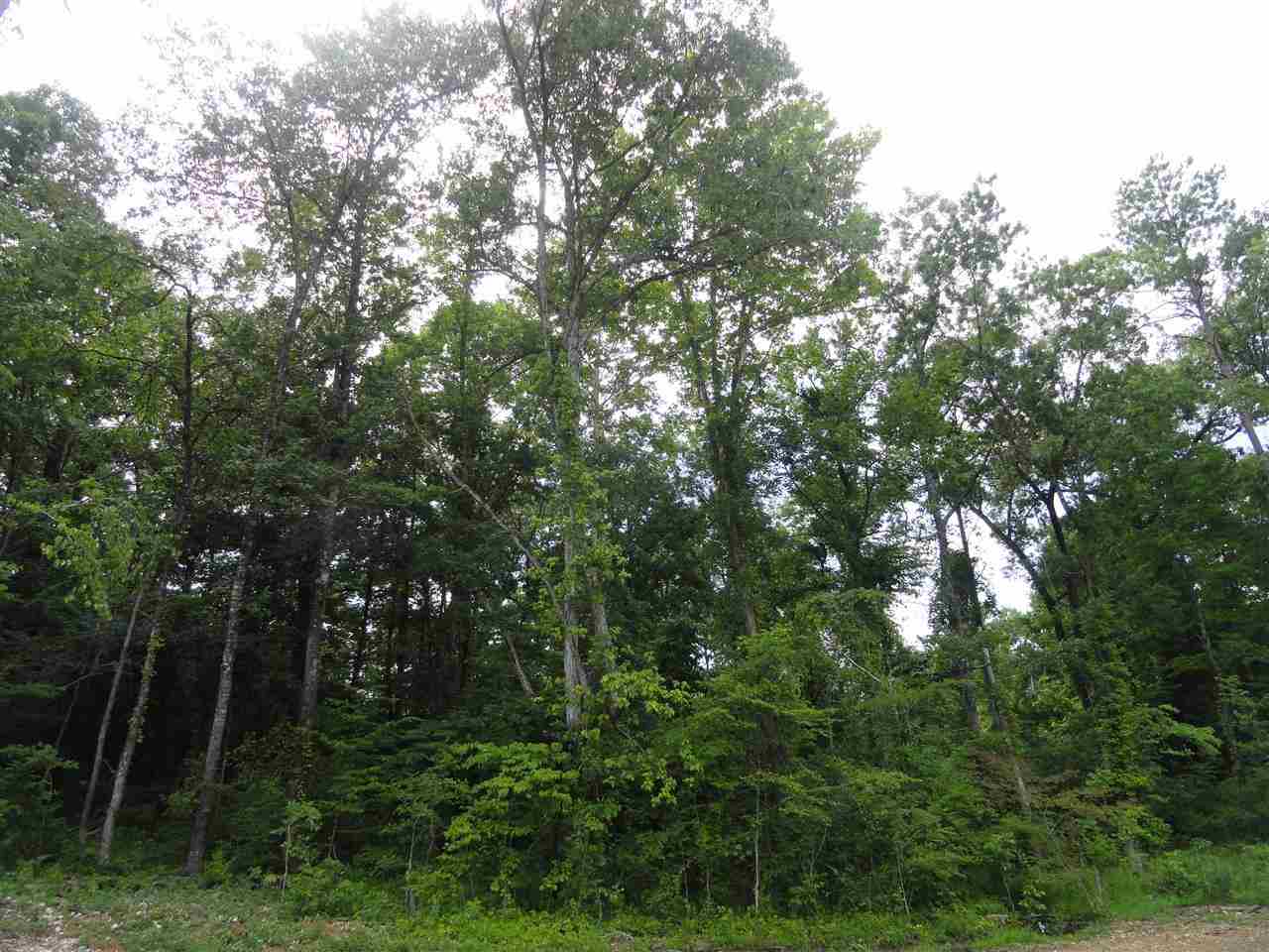 HURRICANE LAKE EST - Residential