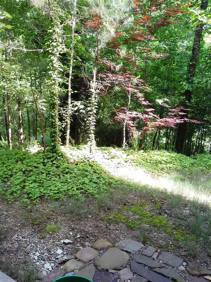 Forest Park - Residential