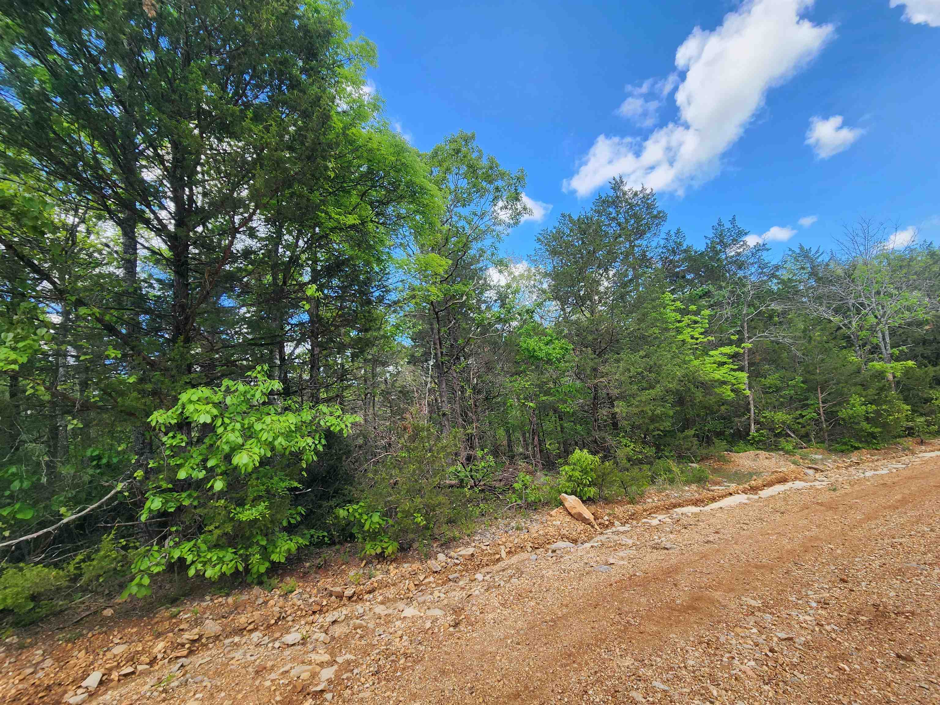 Wolf Hollow Unit 3 - Land