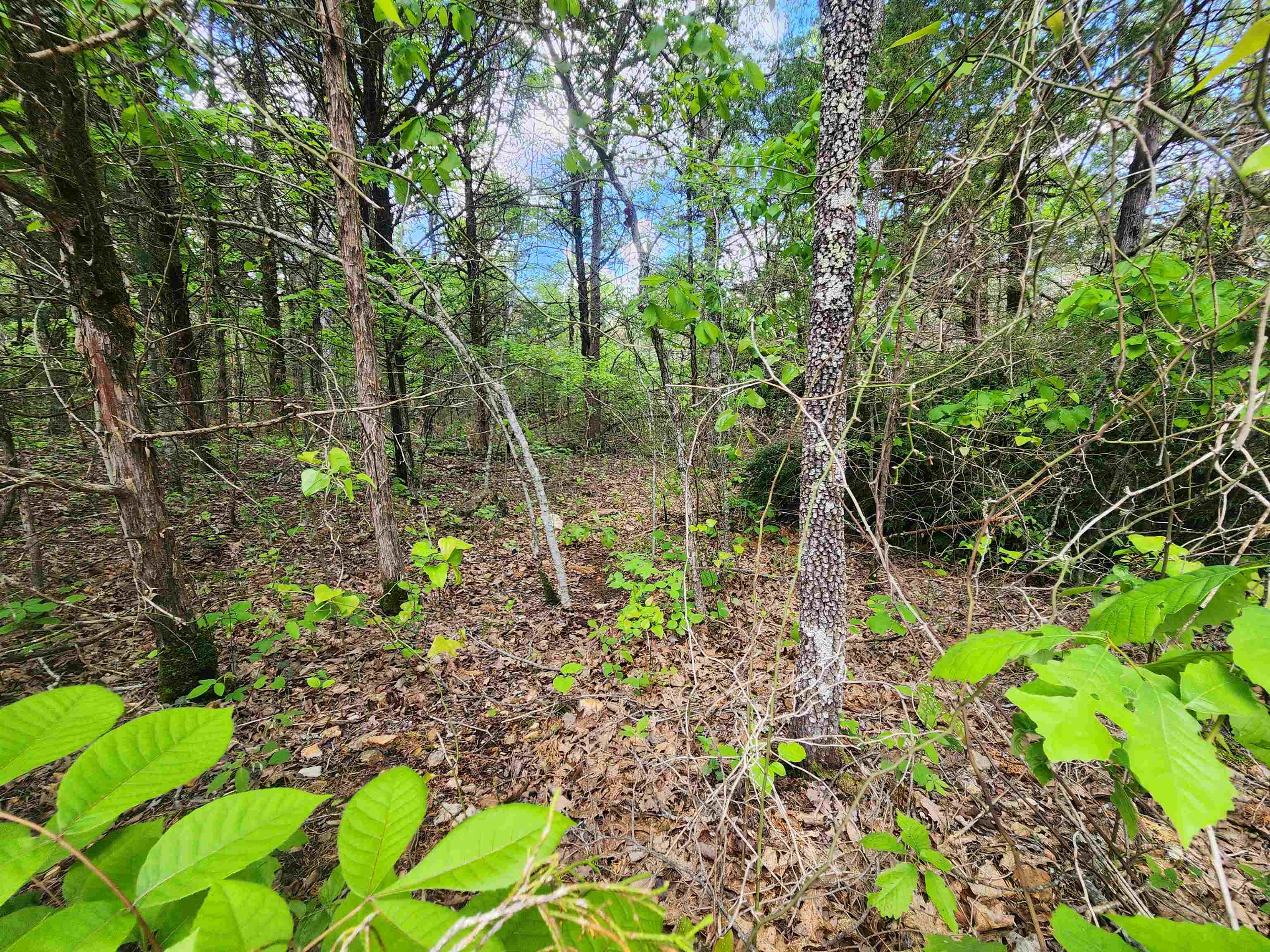 Wolf Hollow Unit 3 - Land