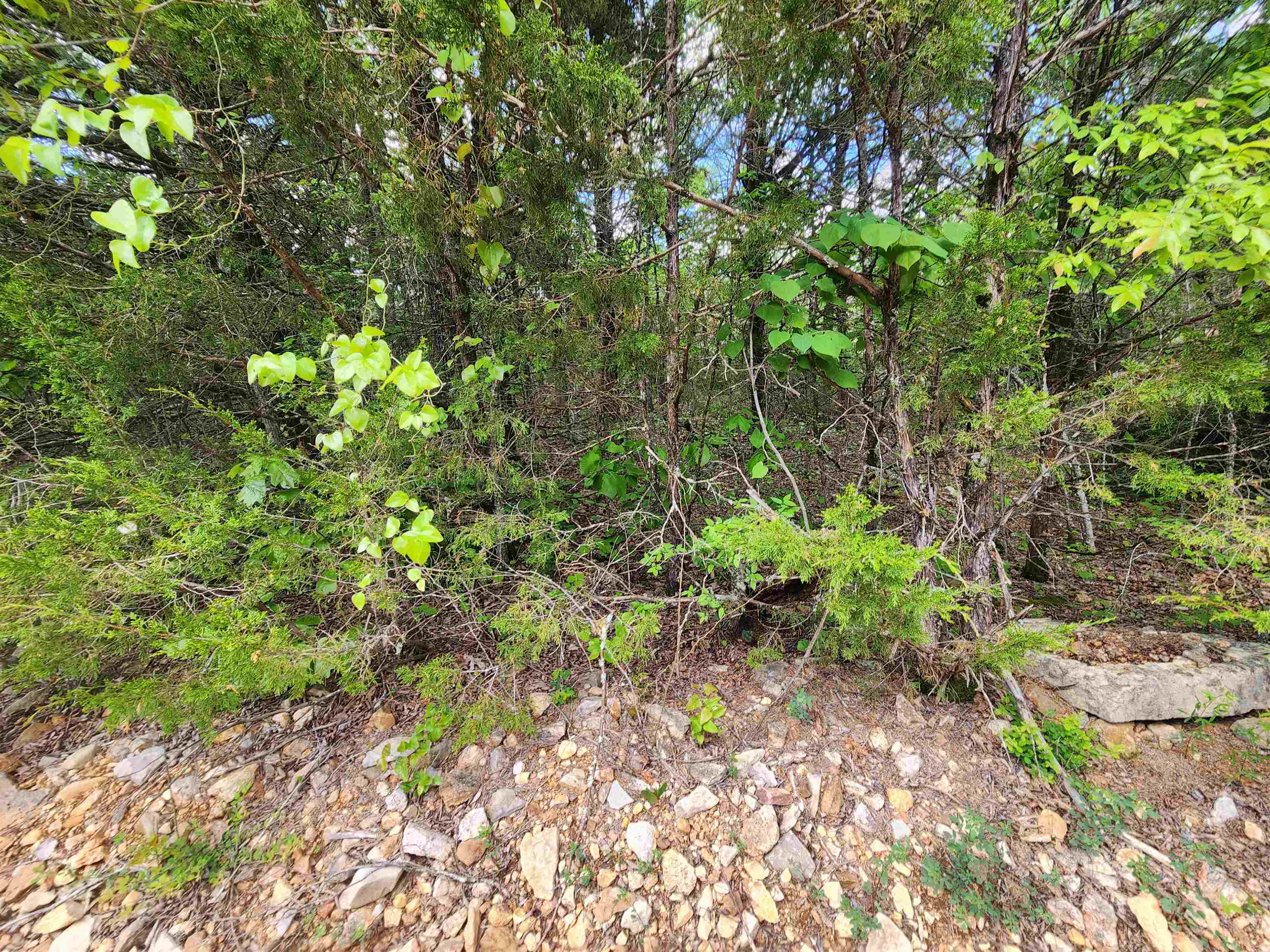 Wolf Hollow Unit 3 - Land