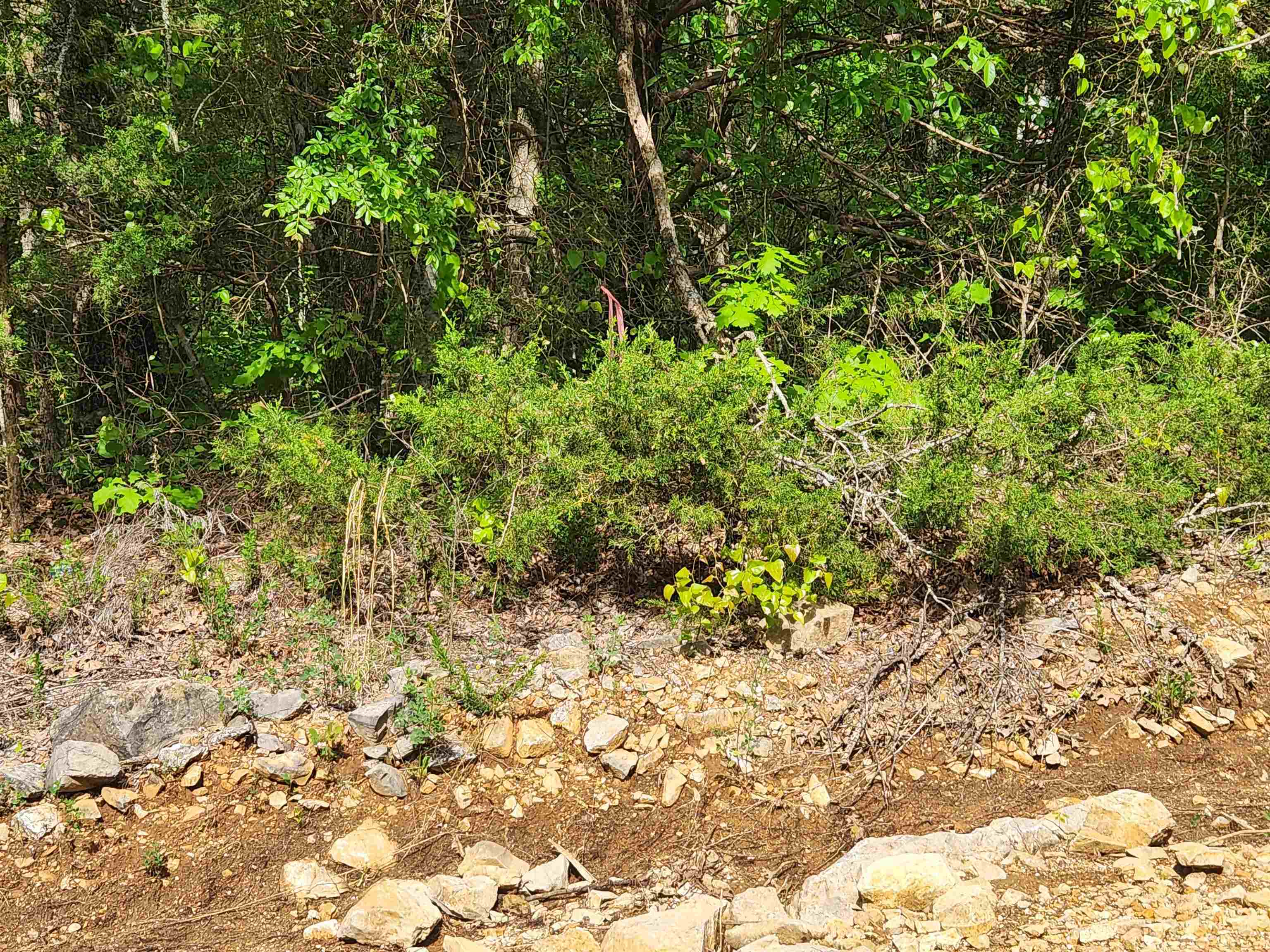 Wolf Hollow Unit 3 - Land