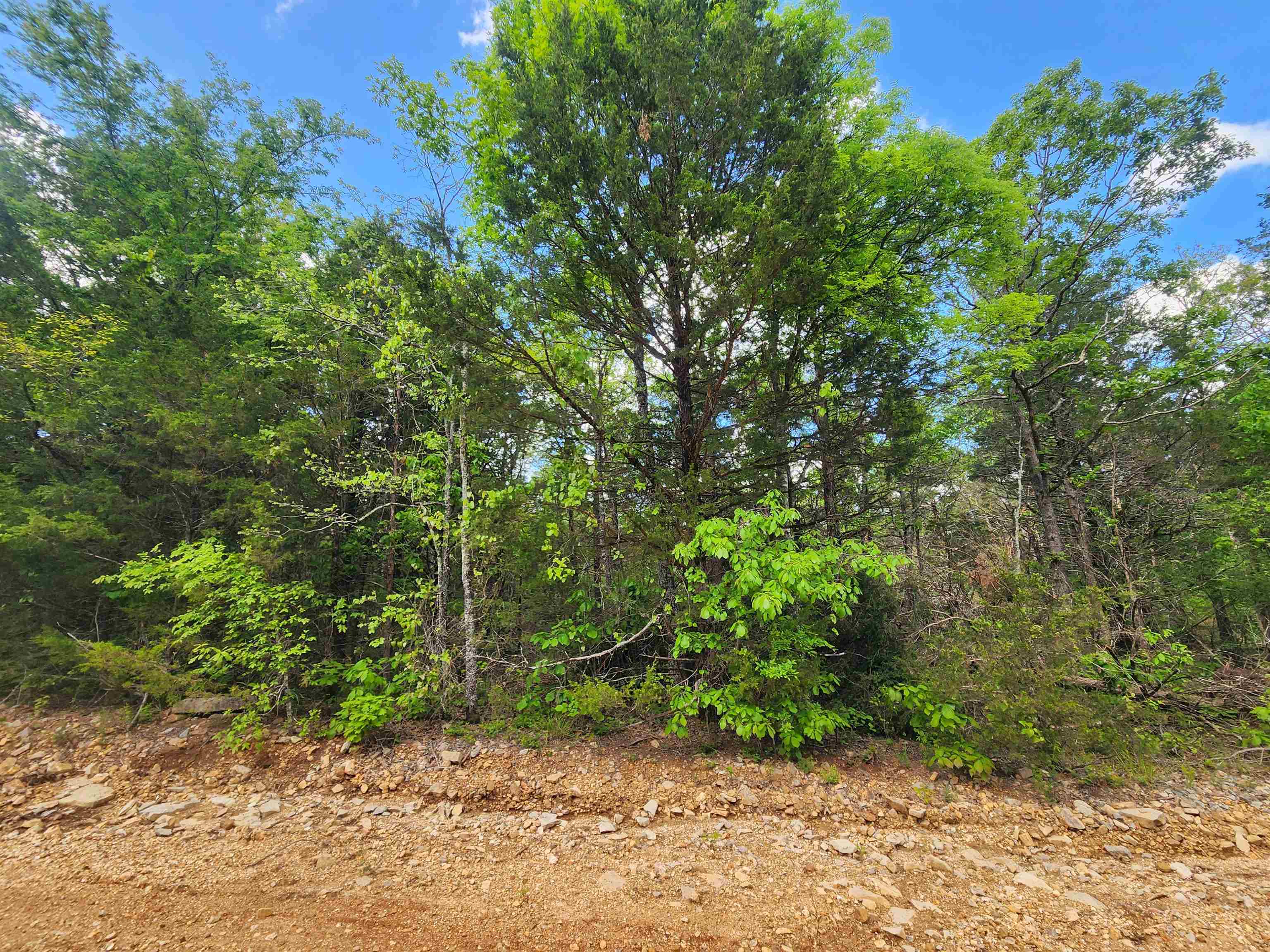 Wolf Hollow Unit 3 - Land