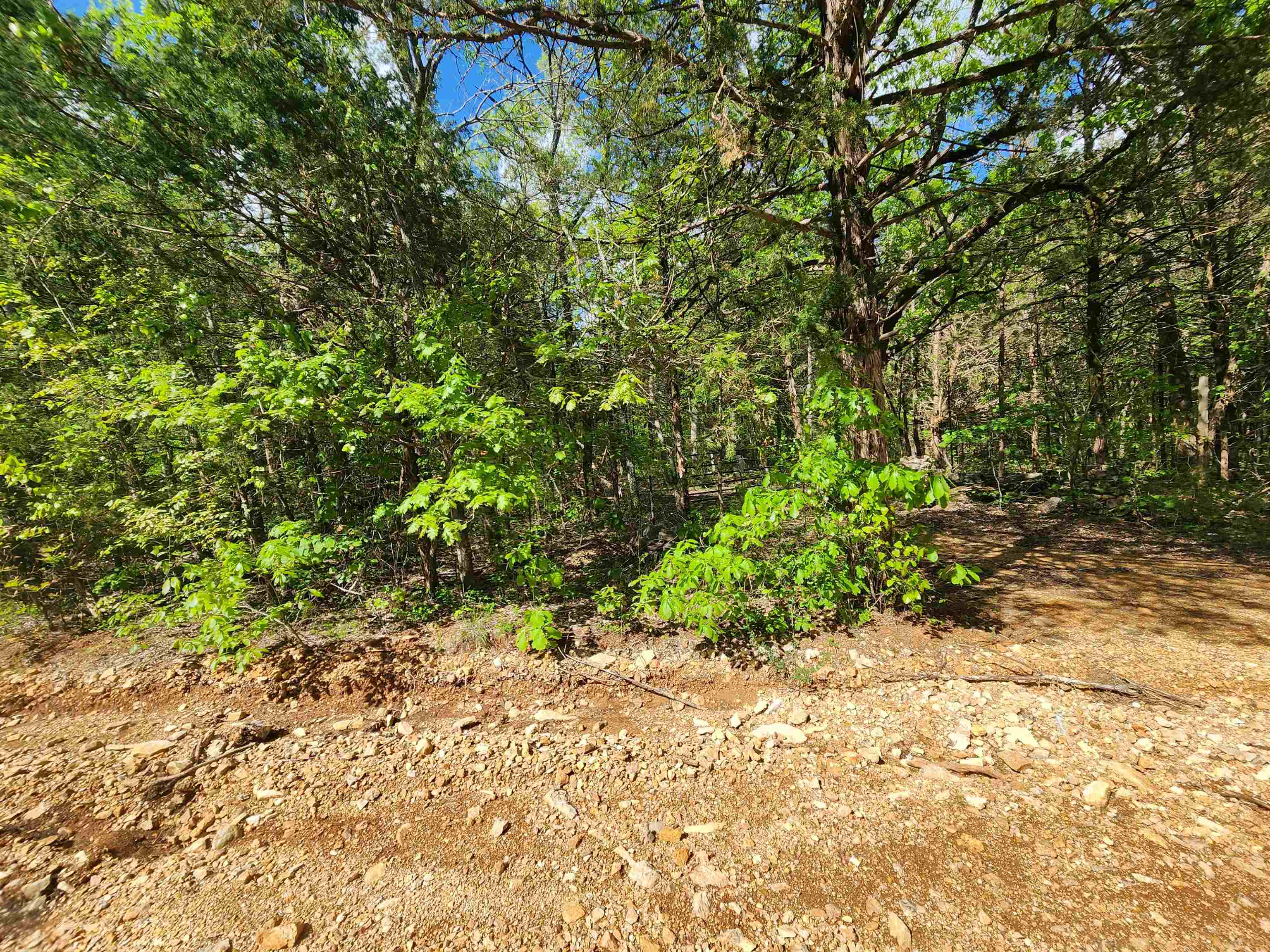 Wolf Hollow Unit 3 - Land