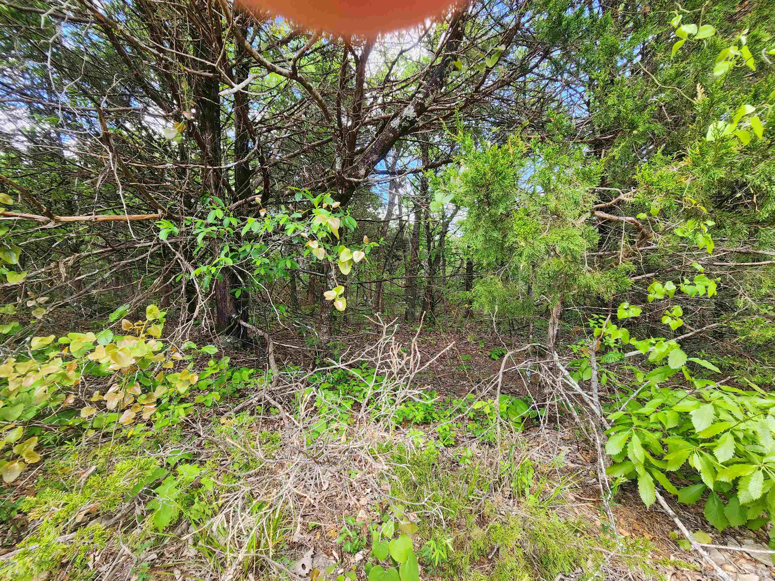 Wolf Hollow Unit 3 - Land