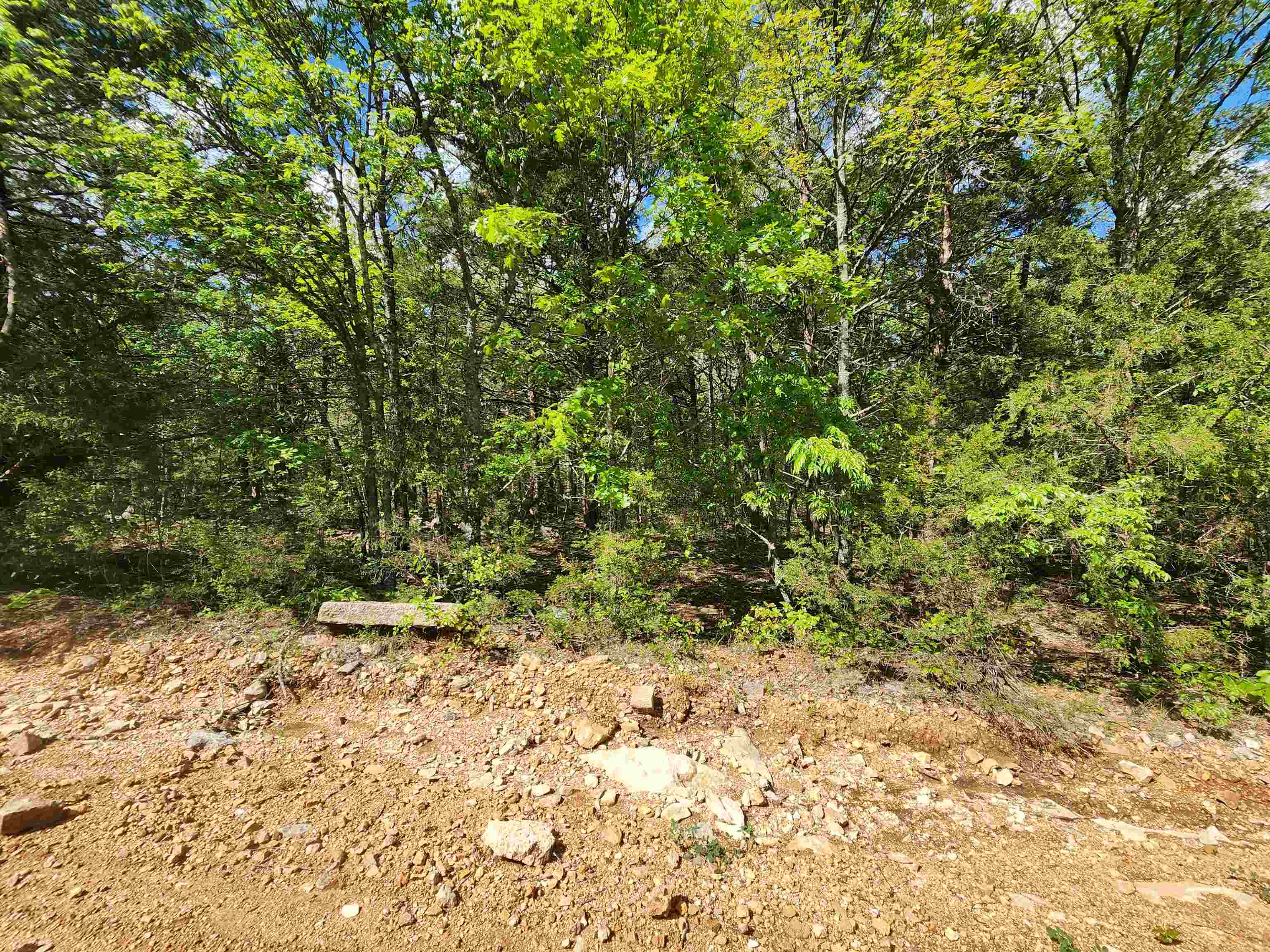 Wolf Hollow Unit 3 - Land