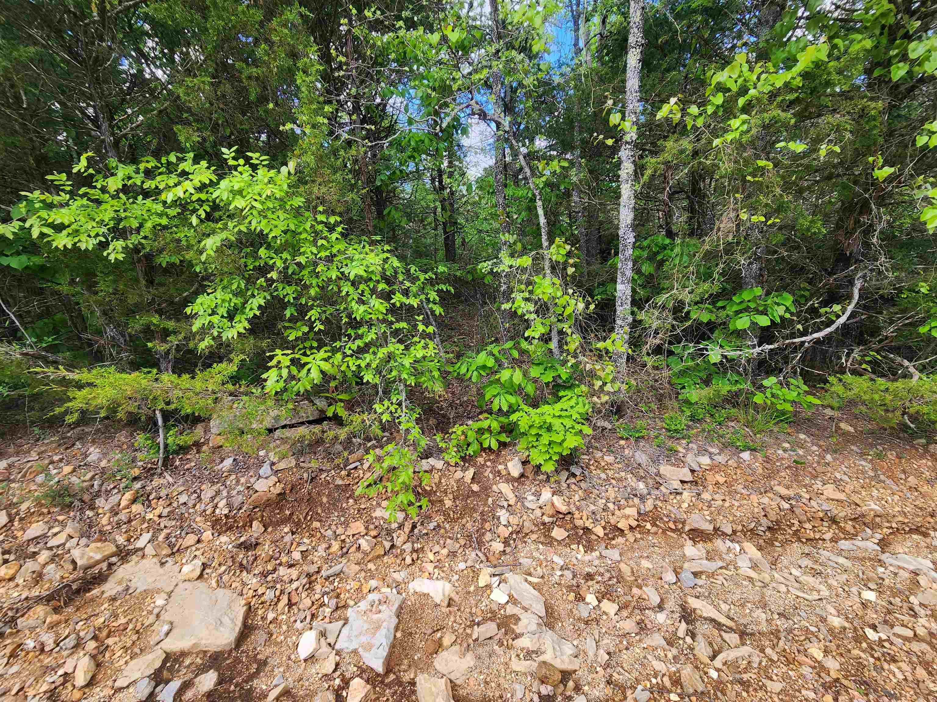 Wolf Hollow Unit 3 - Land