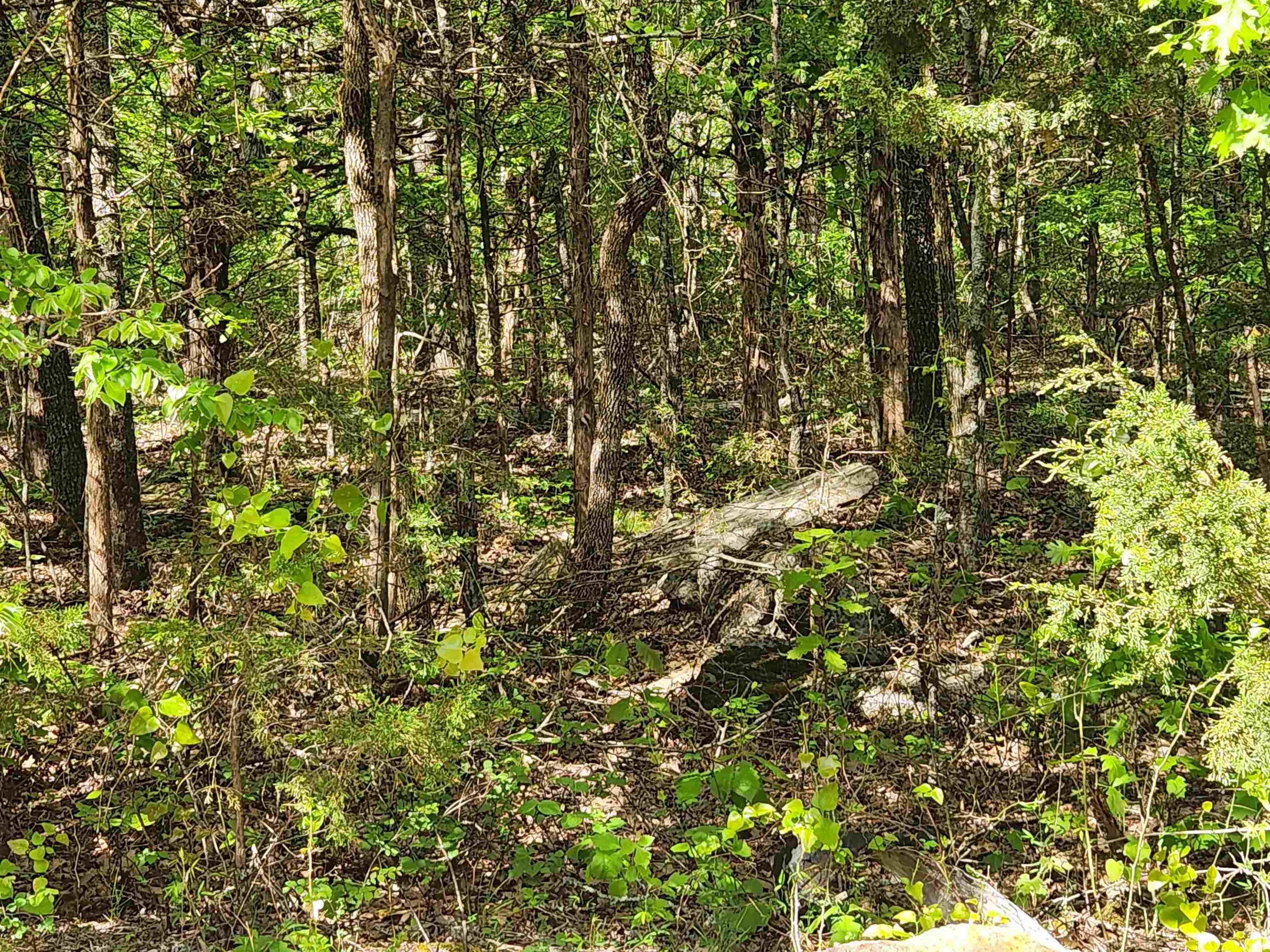 Wolf Hollow Unit 3 - Land