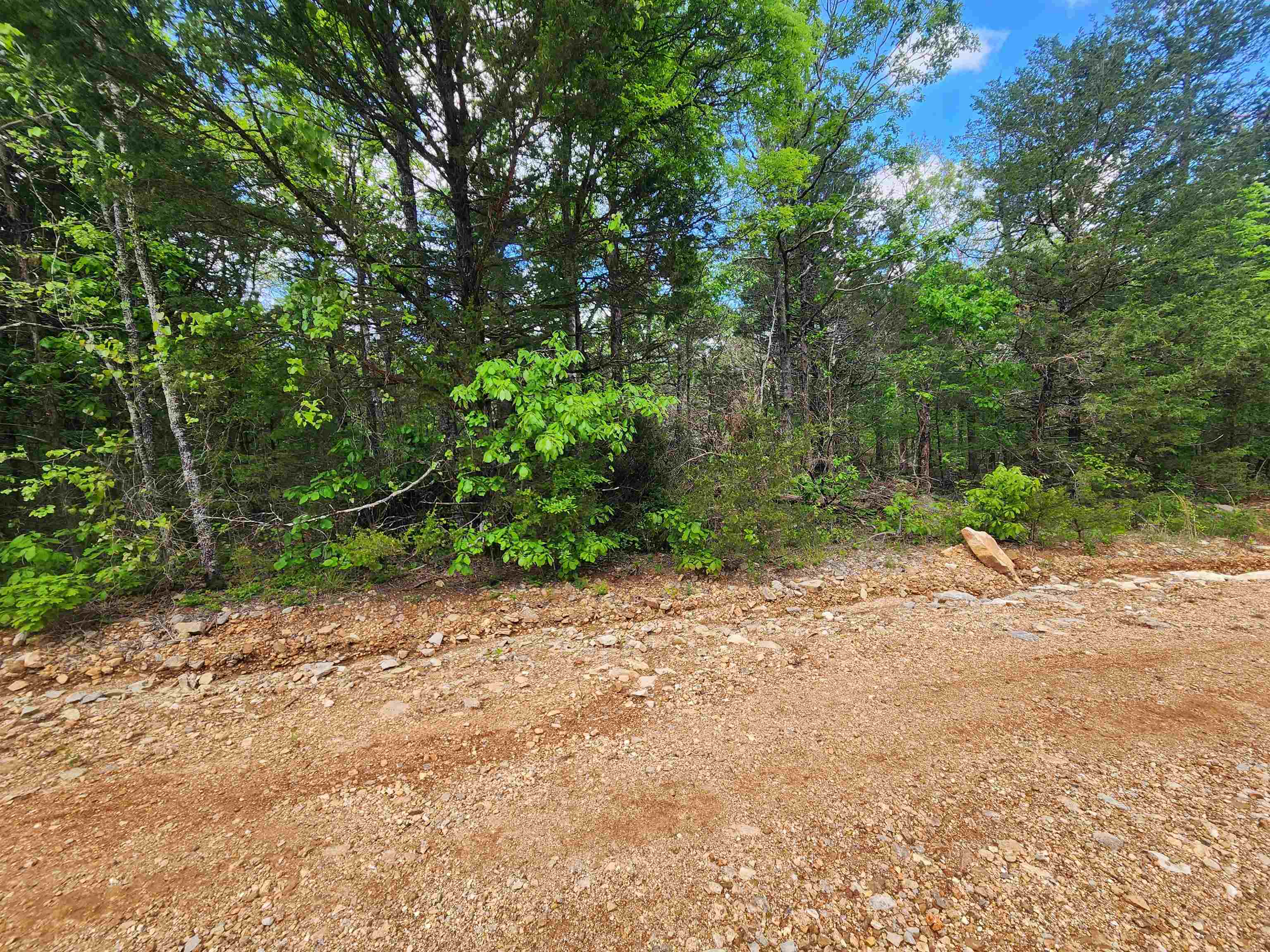 Wolf Hollow Unit 3 - Land