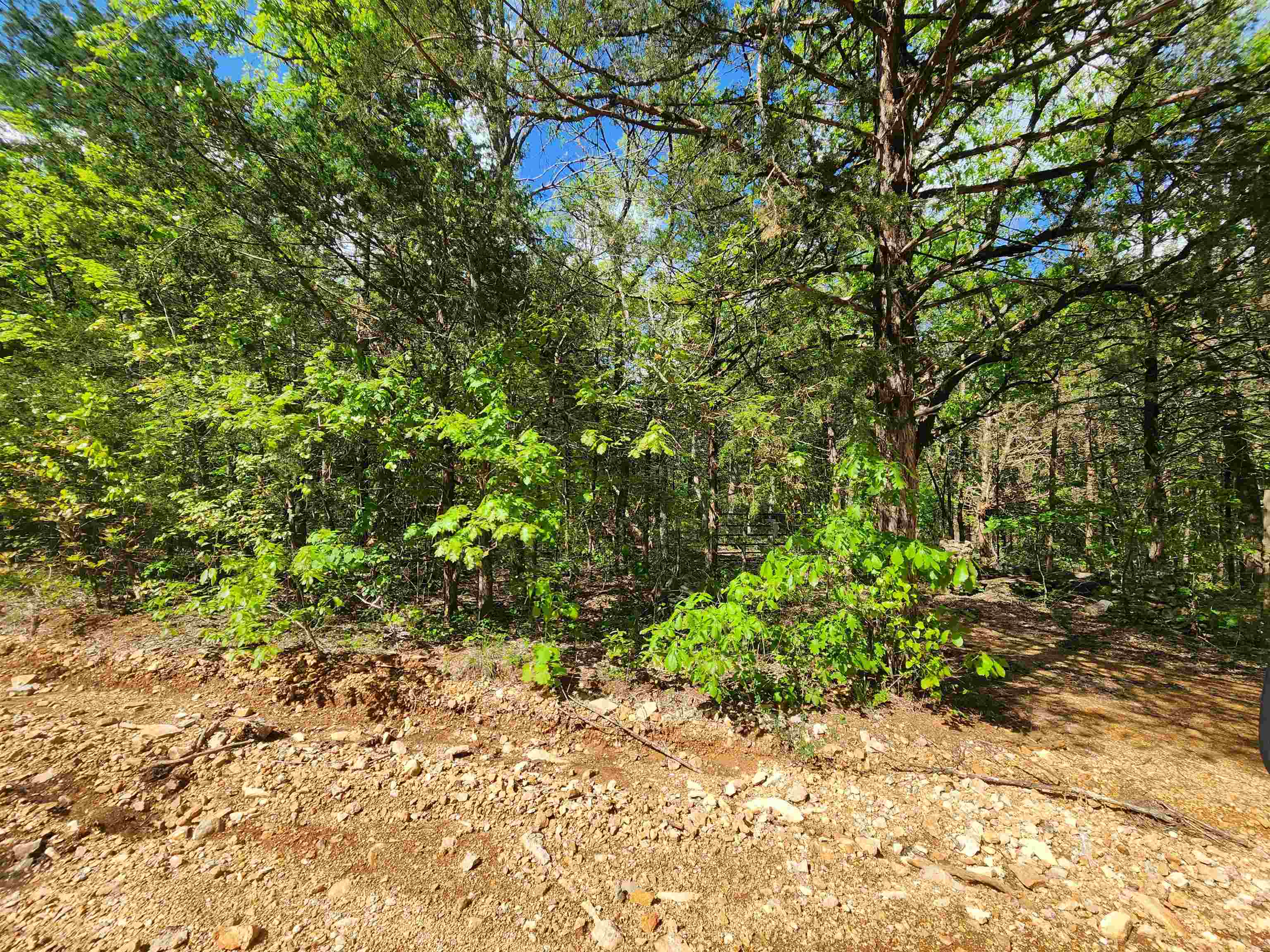 Wolf Hollow Unit 3 - Land