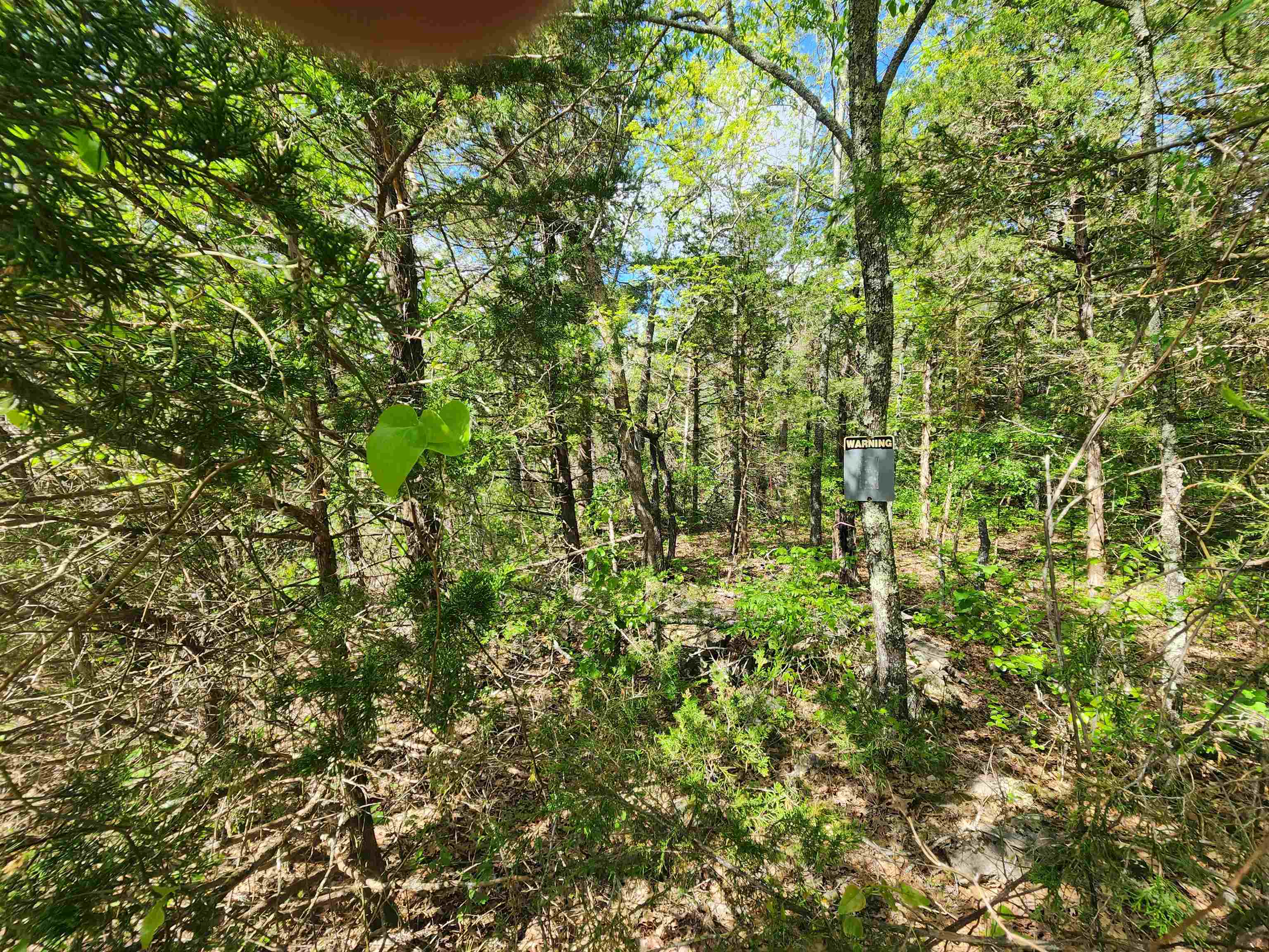 Wolf Hollow Unit 3 - Land