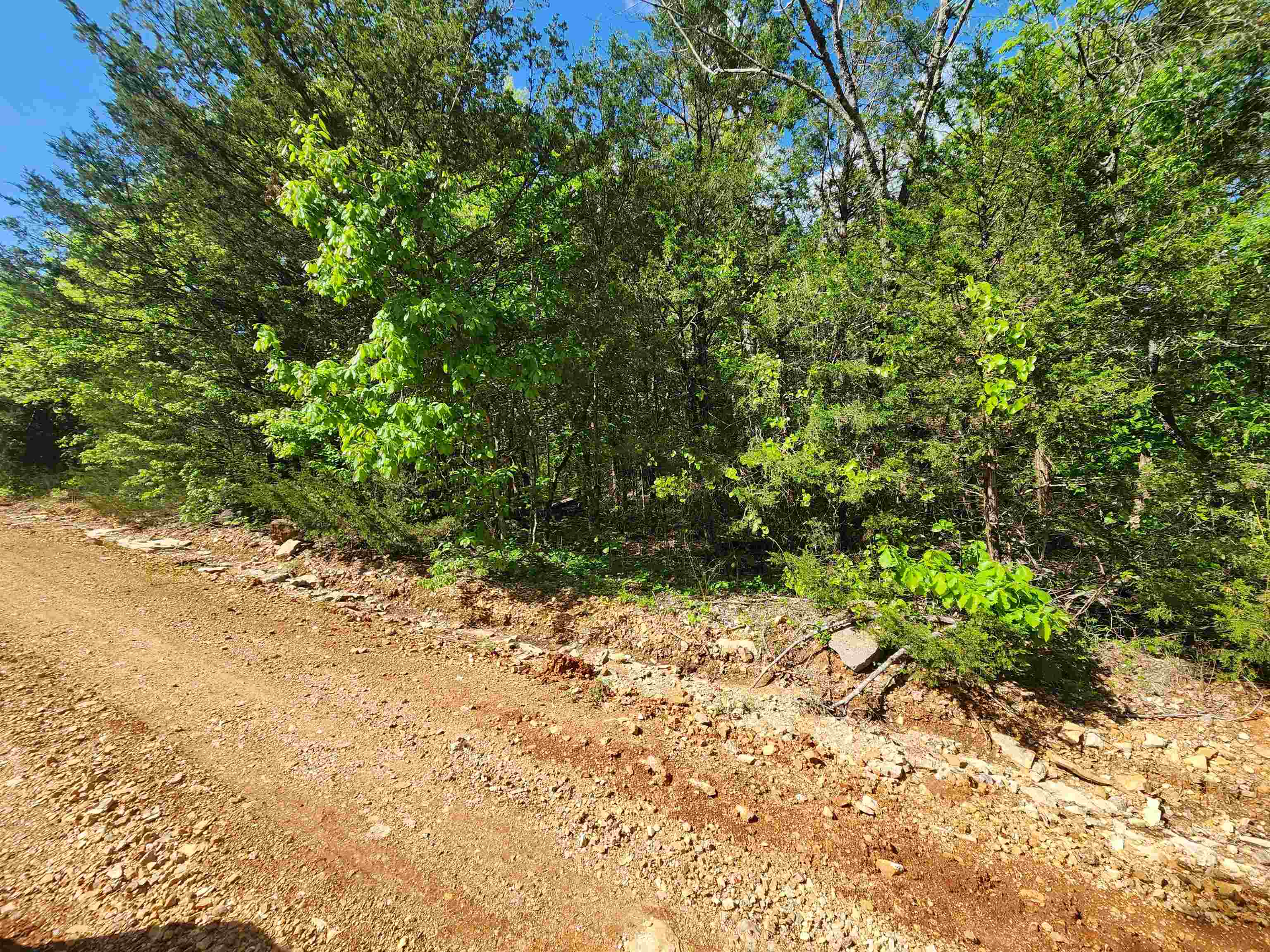 Wolf Hollow Unit 3 - Land