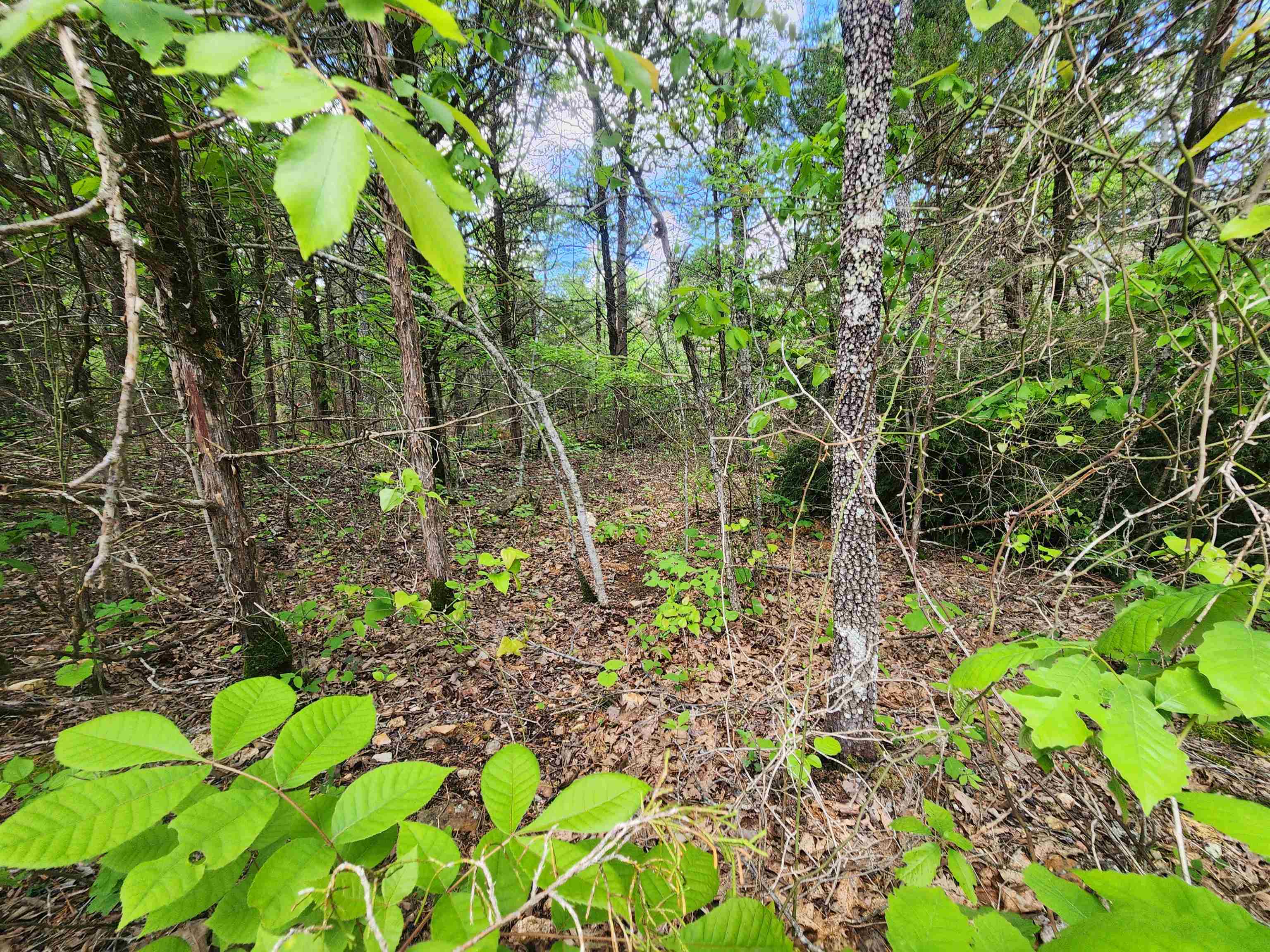 Wolf Hollow Unit 3 - Land