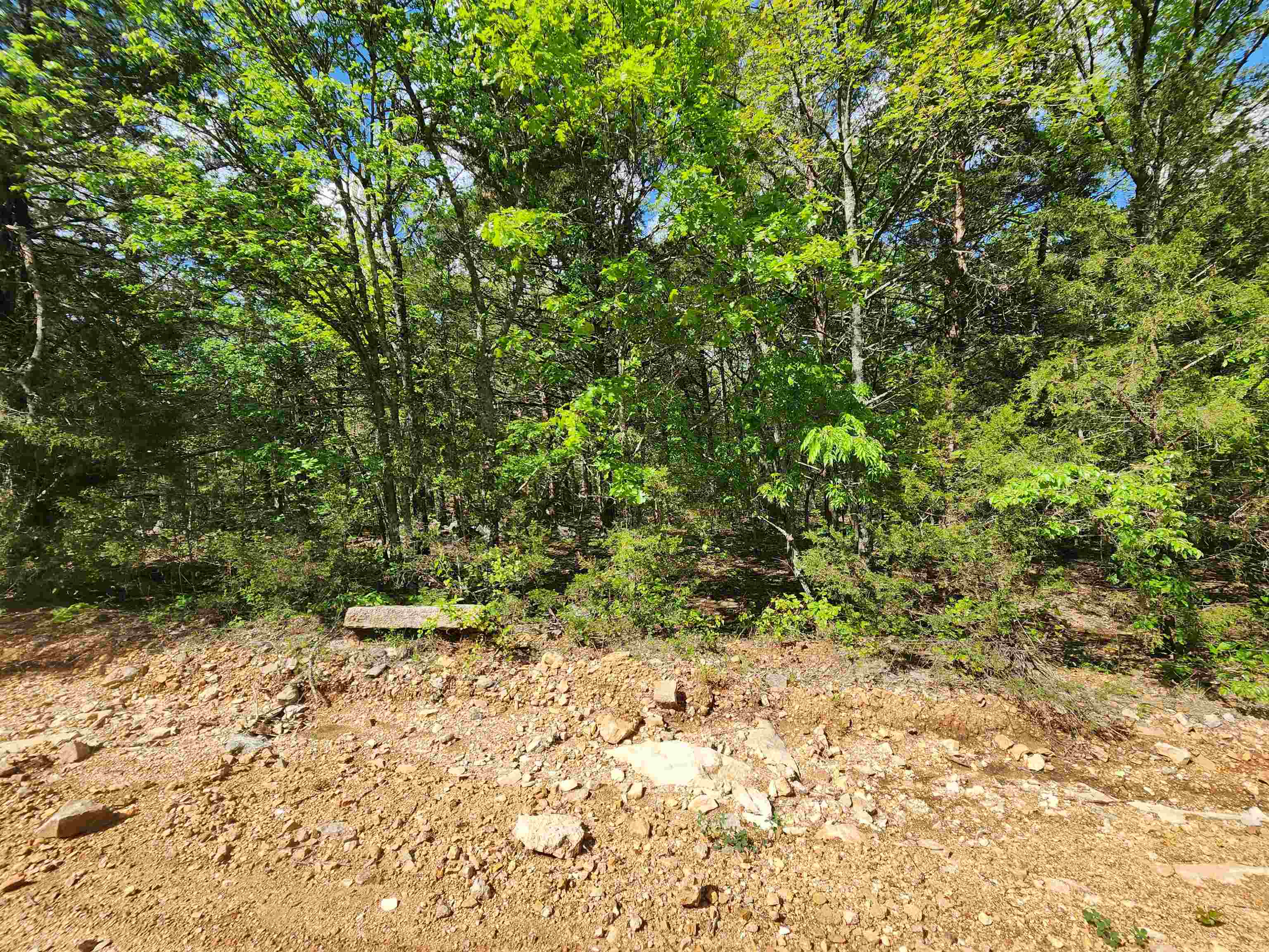 Wolf Hollow Unit 3 - Land